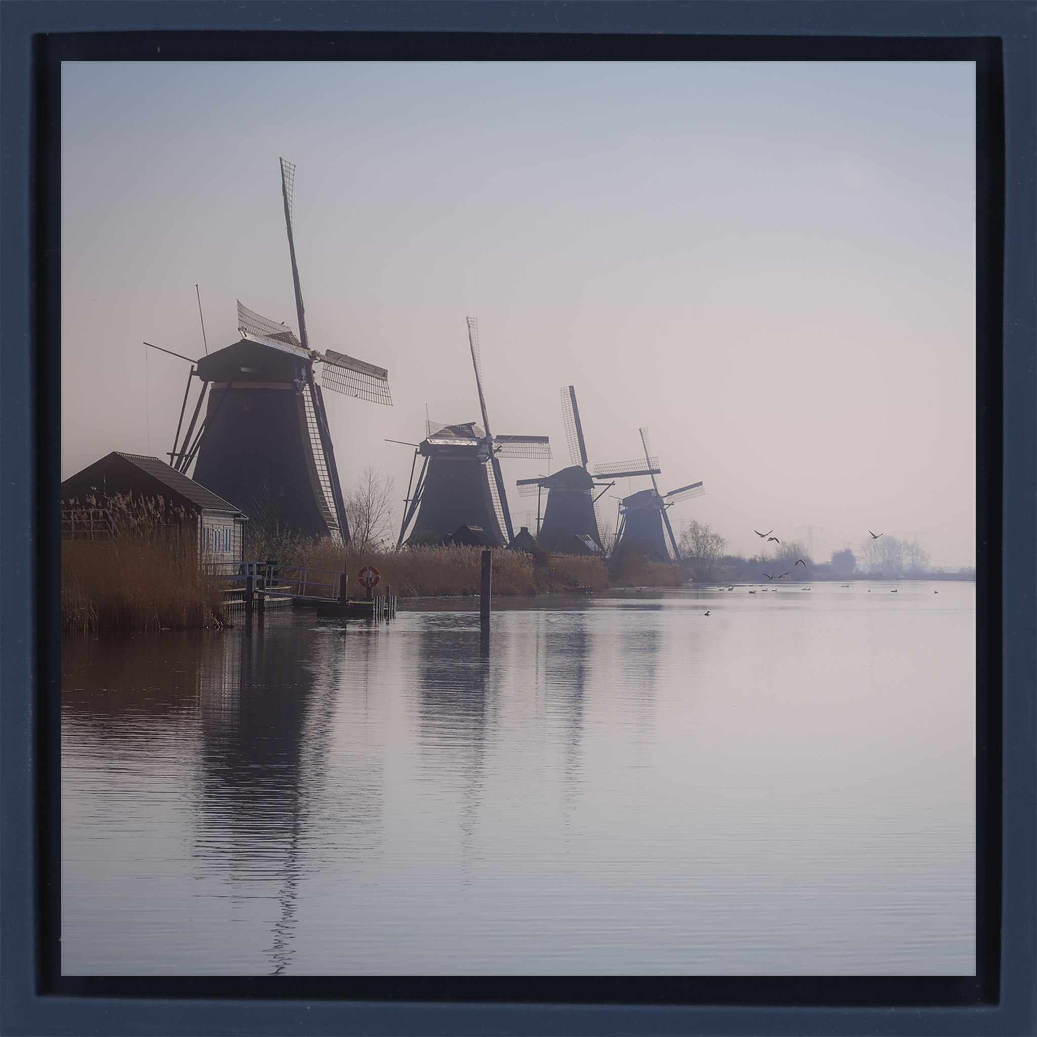 The Giants of Kinderdijk- Dark Blue Wrapp
