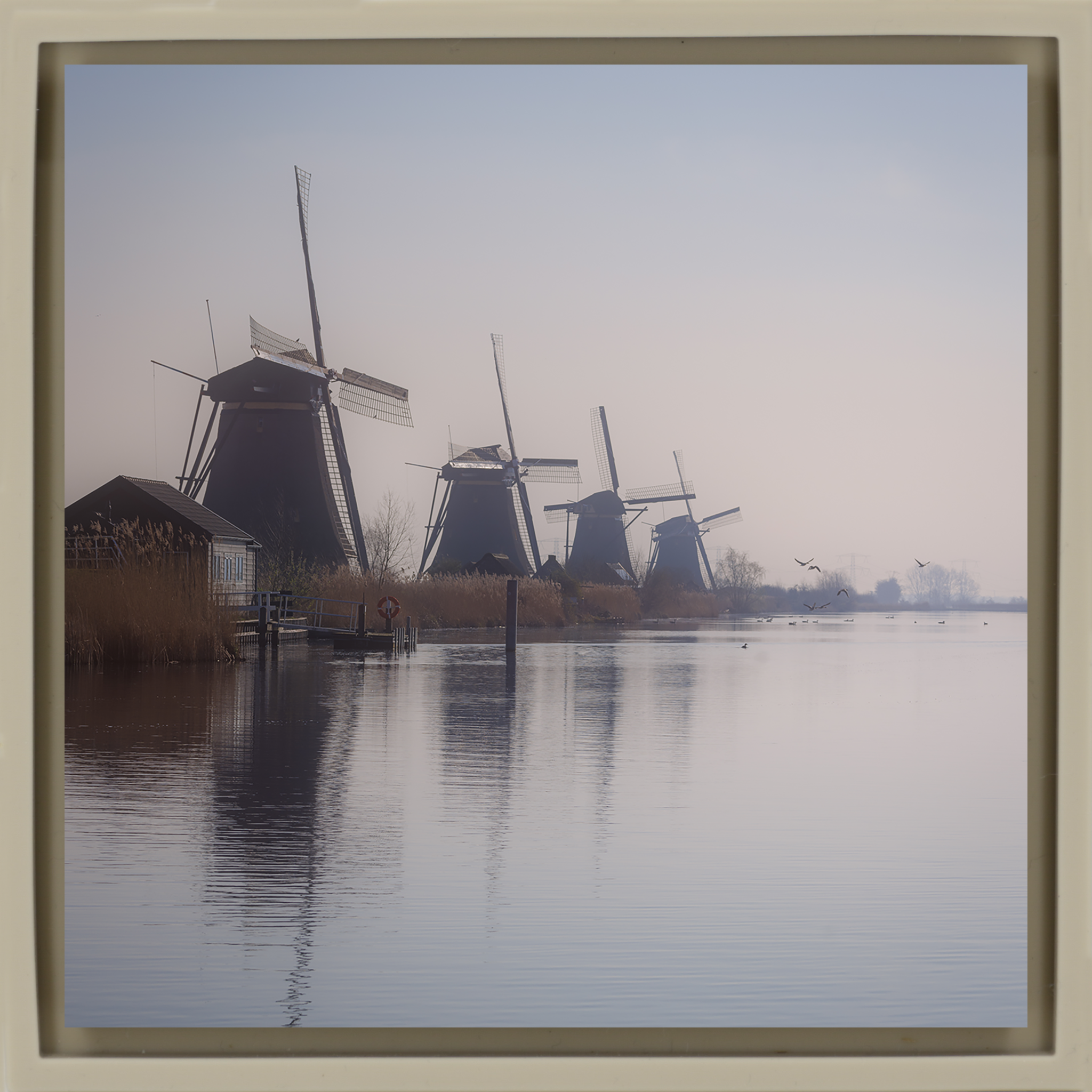 The Giants of Kinderdijk- Sand Wrapp