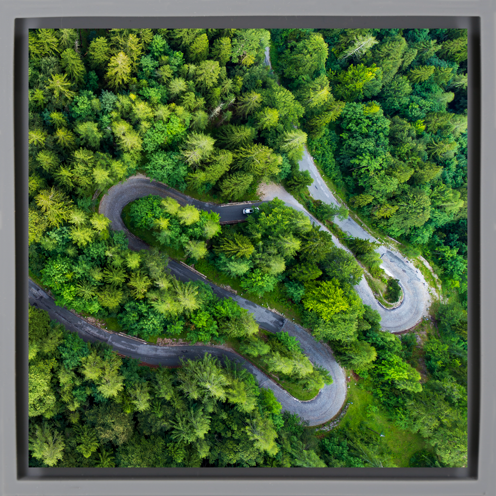 The Gradient - Grijze Wrapp
