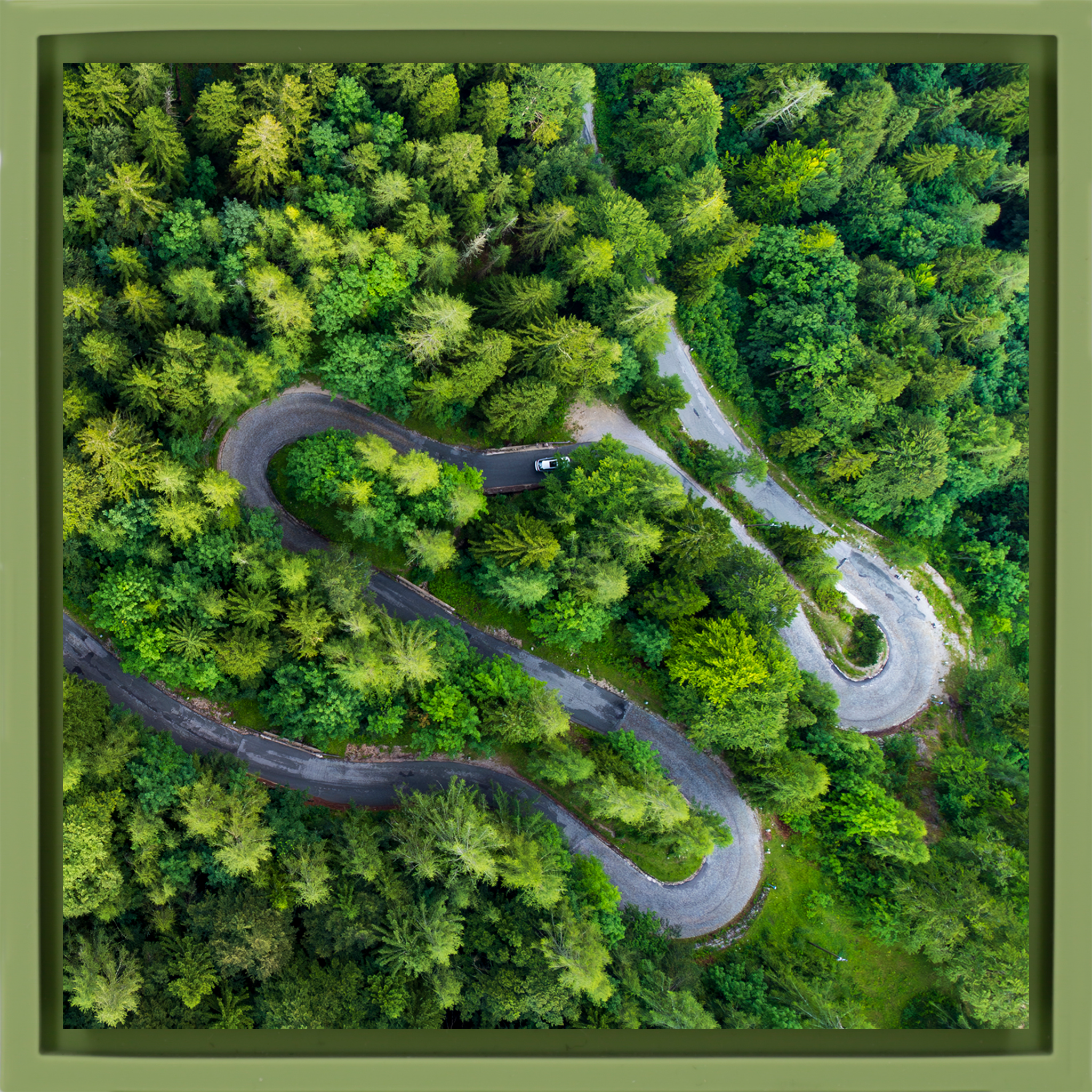 The Gradient- Light Green Wrapp