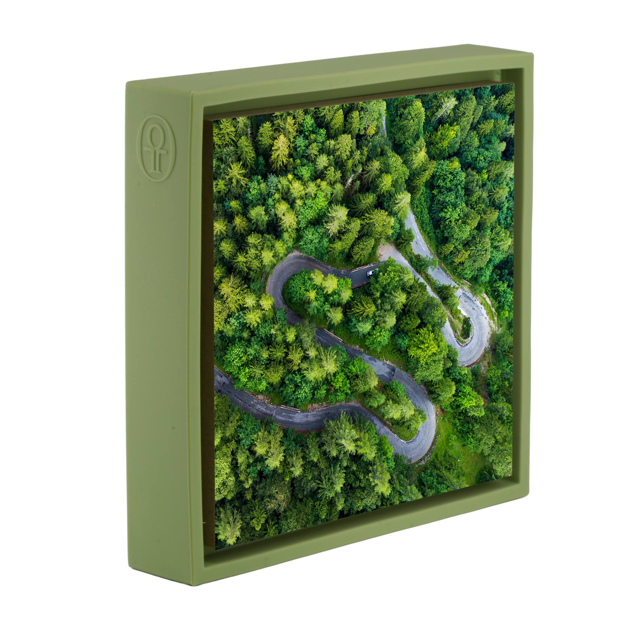 The Gradient- Light Green Wrapp