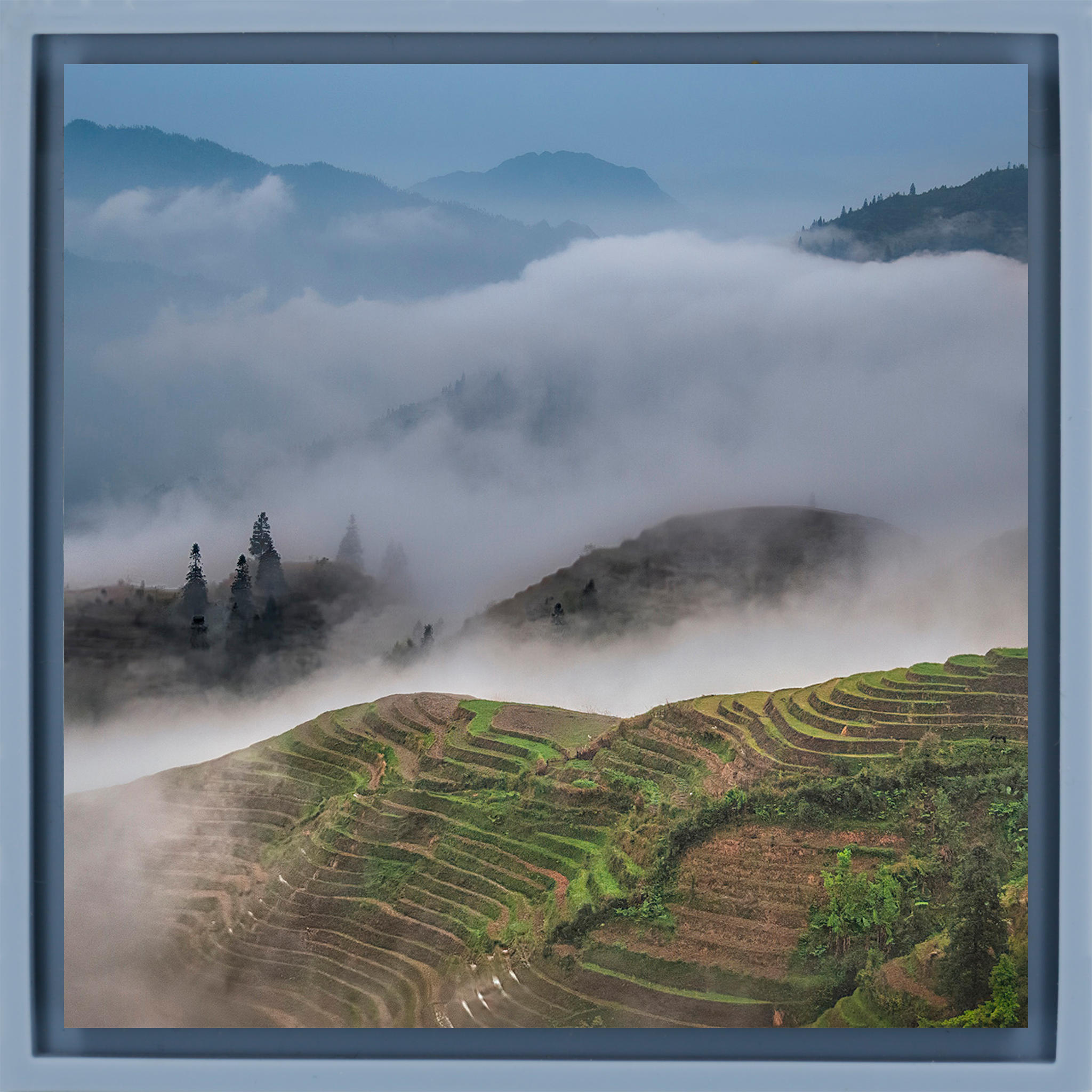 Reisterrassen – Hellblaue Verpackung