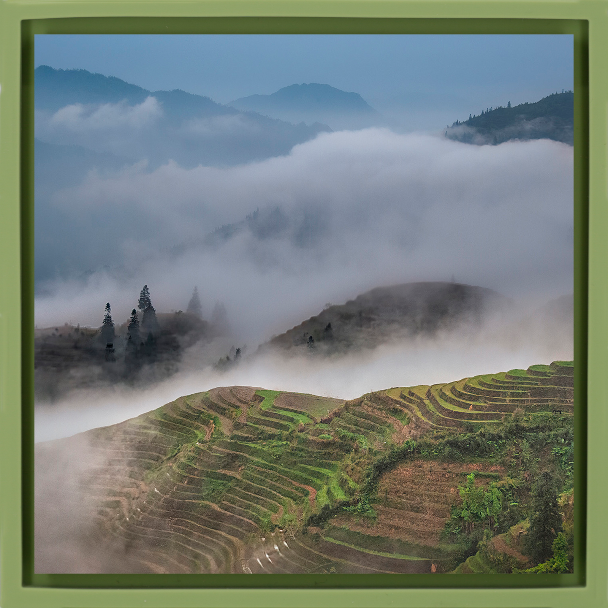 Rice Terraces- Light Green Wrapp