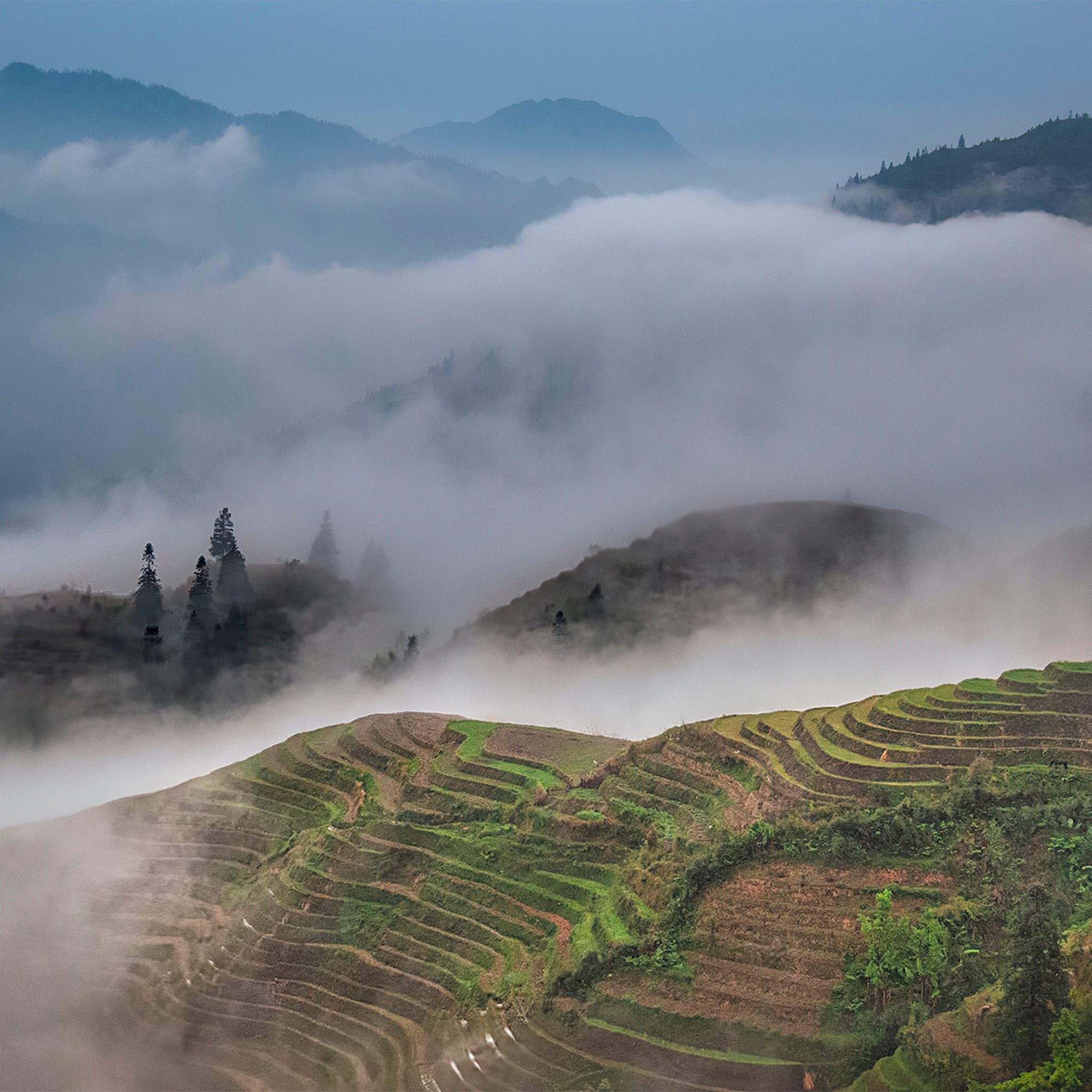 Rizières en terrasses - Collection : Chine