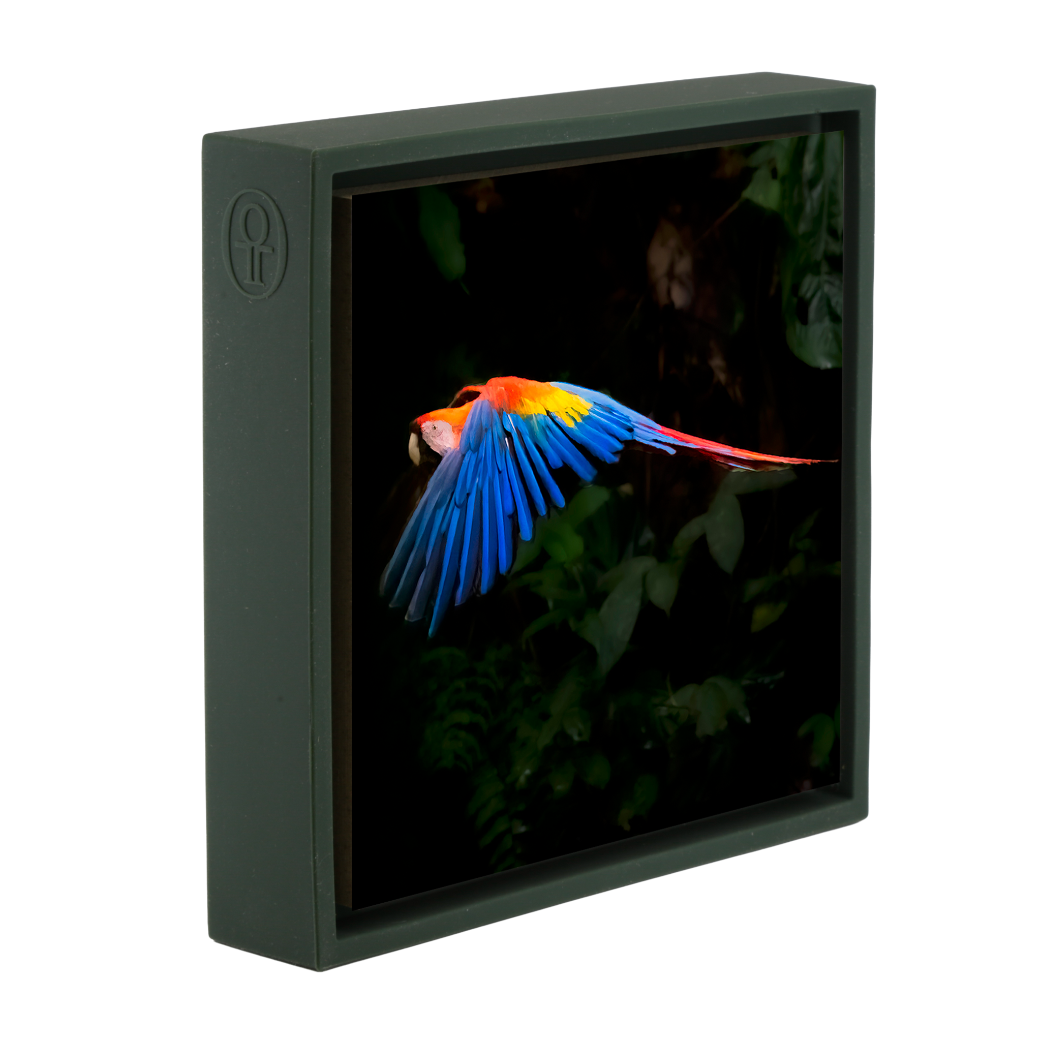 Scarlet Macaw- Dark Green Wrapp