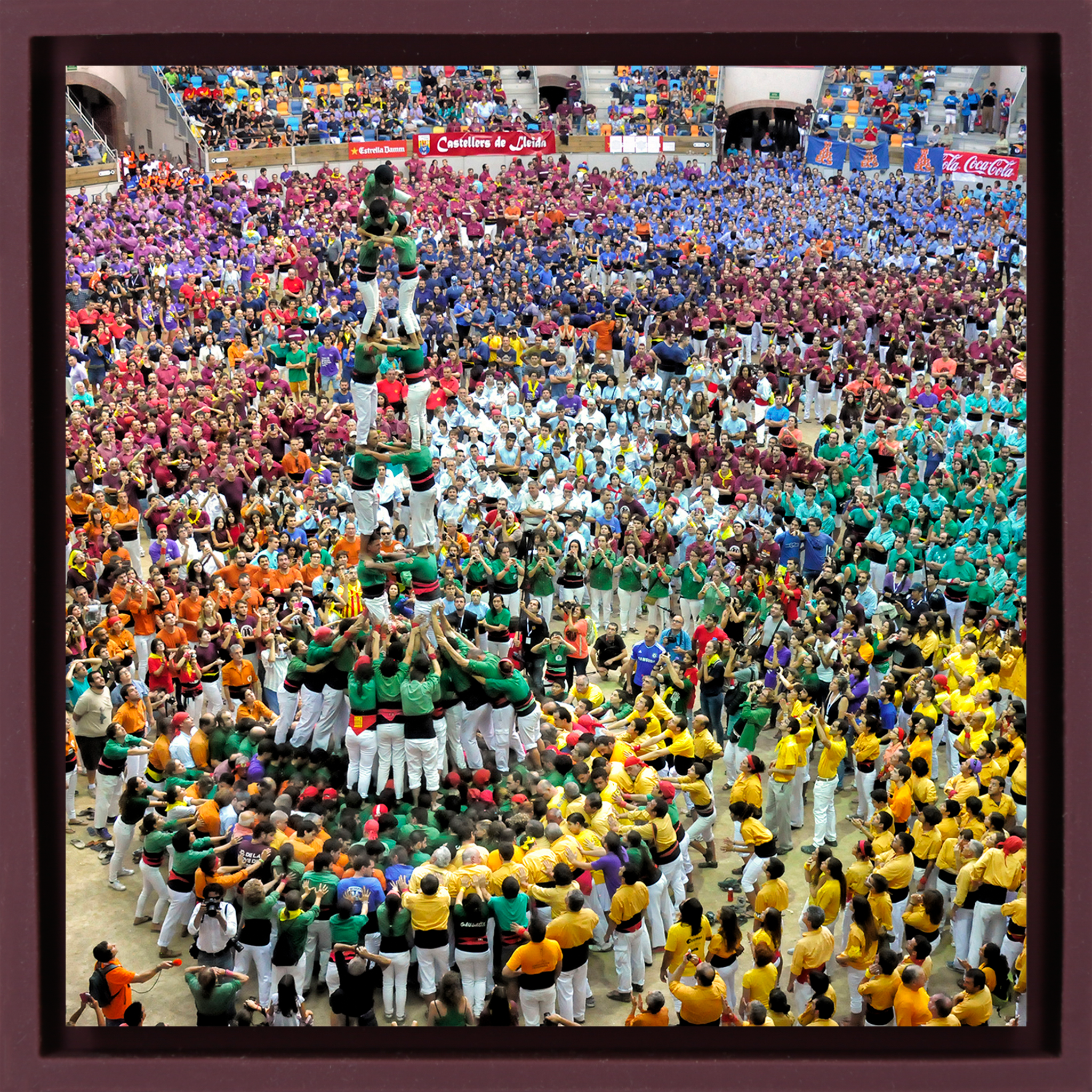 Castellers - Lila Verpackung