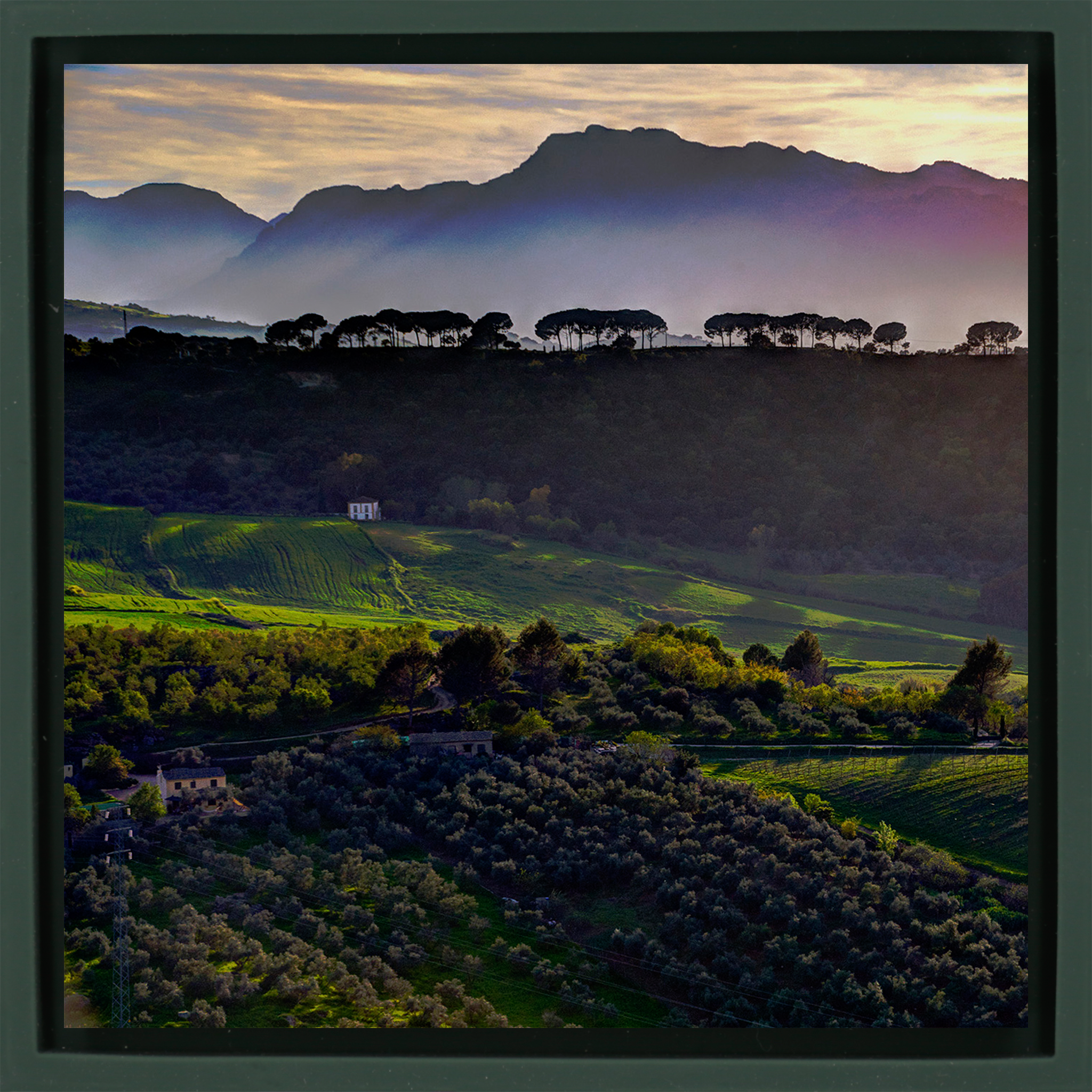 Andalucia - Dark Green Wrapp