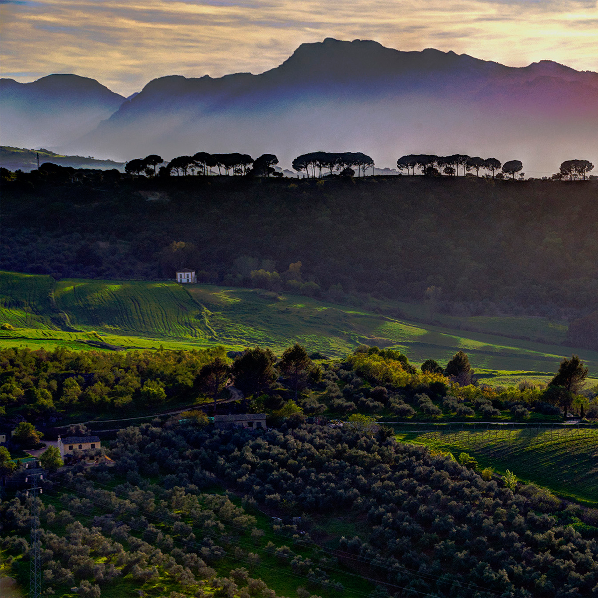Andalucia - Collection: Spain