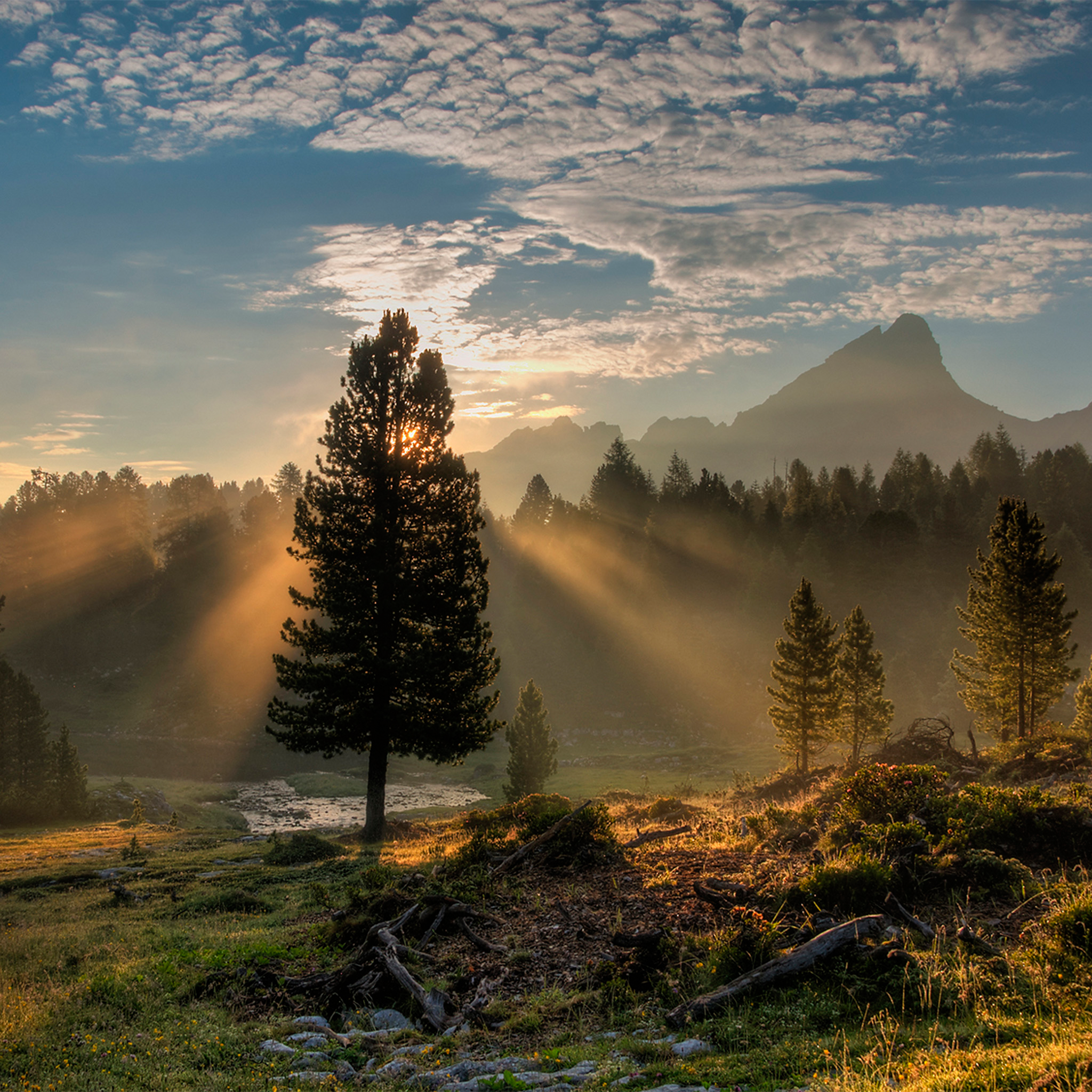 Dolomites Sunrise- Collection: Italy