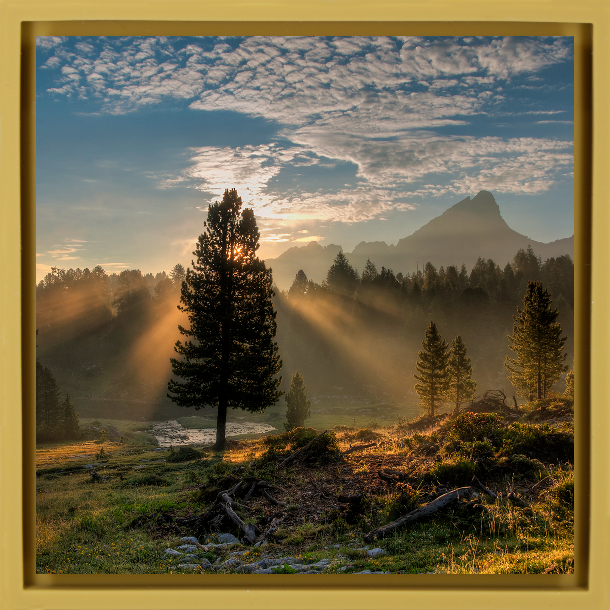 Dolomites Sunrise- Ochre Wrapp