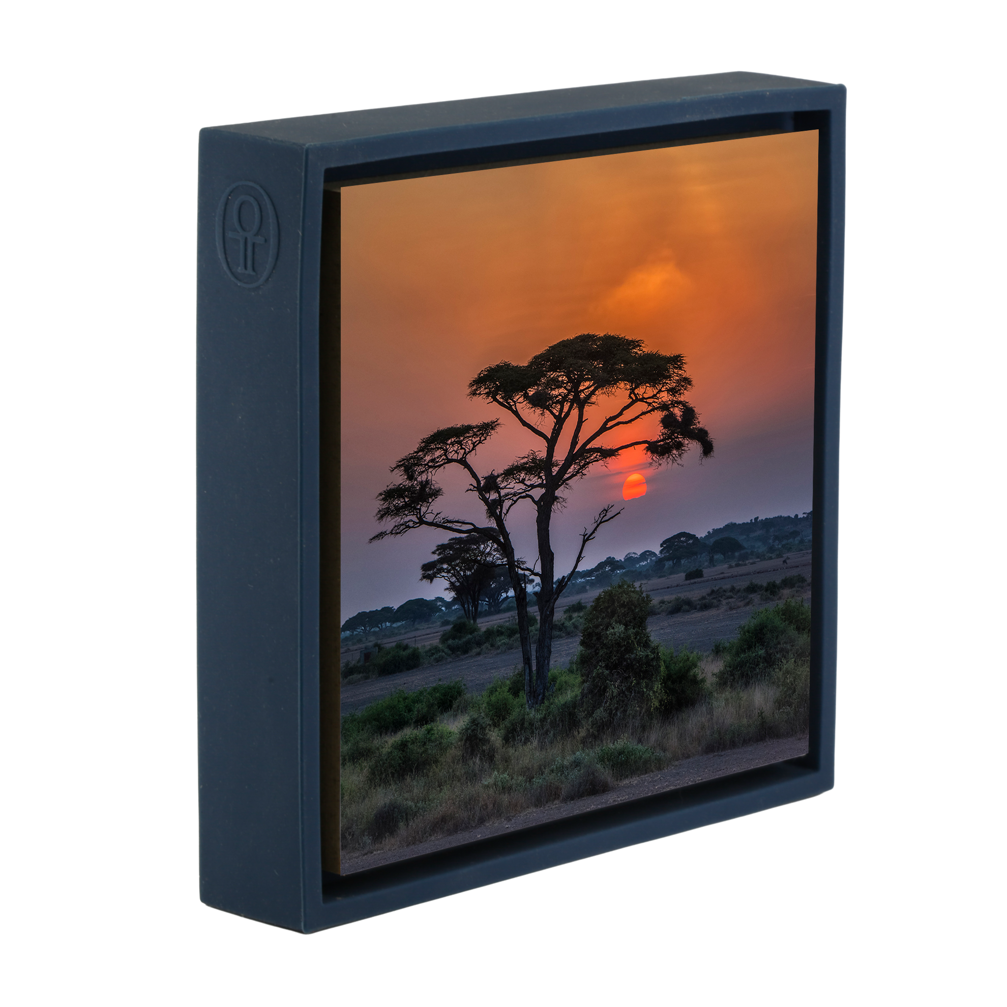 Sunset Tree - Dark Blue Wrapp
