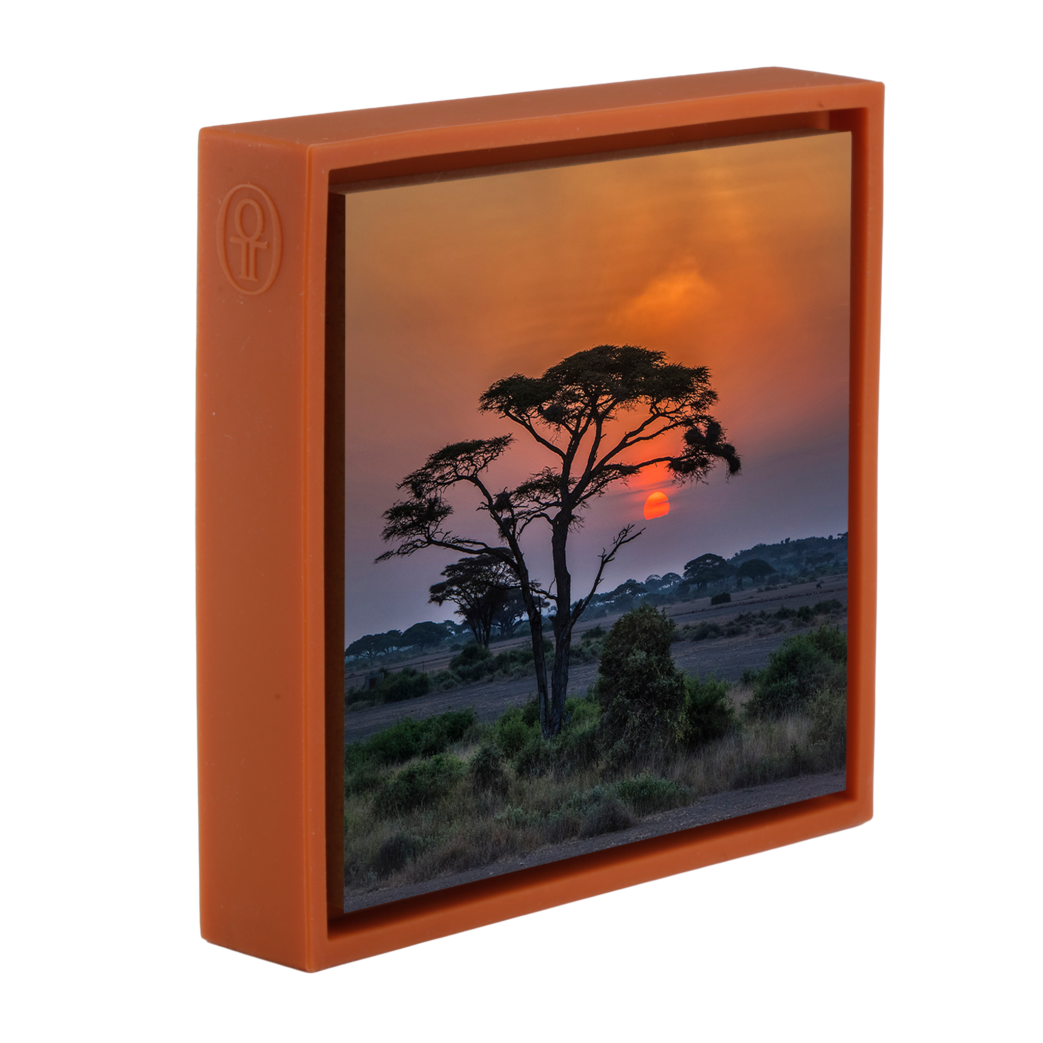 Sunset Tree - Oranje Wrapp