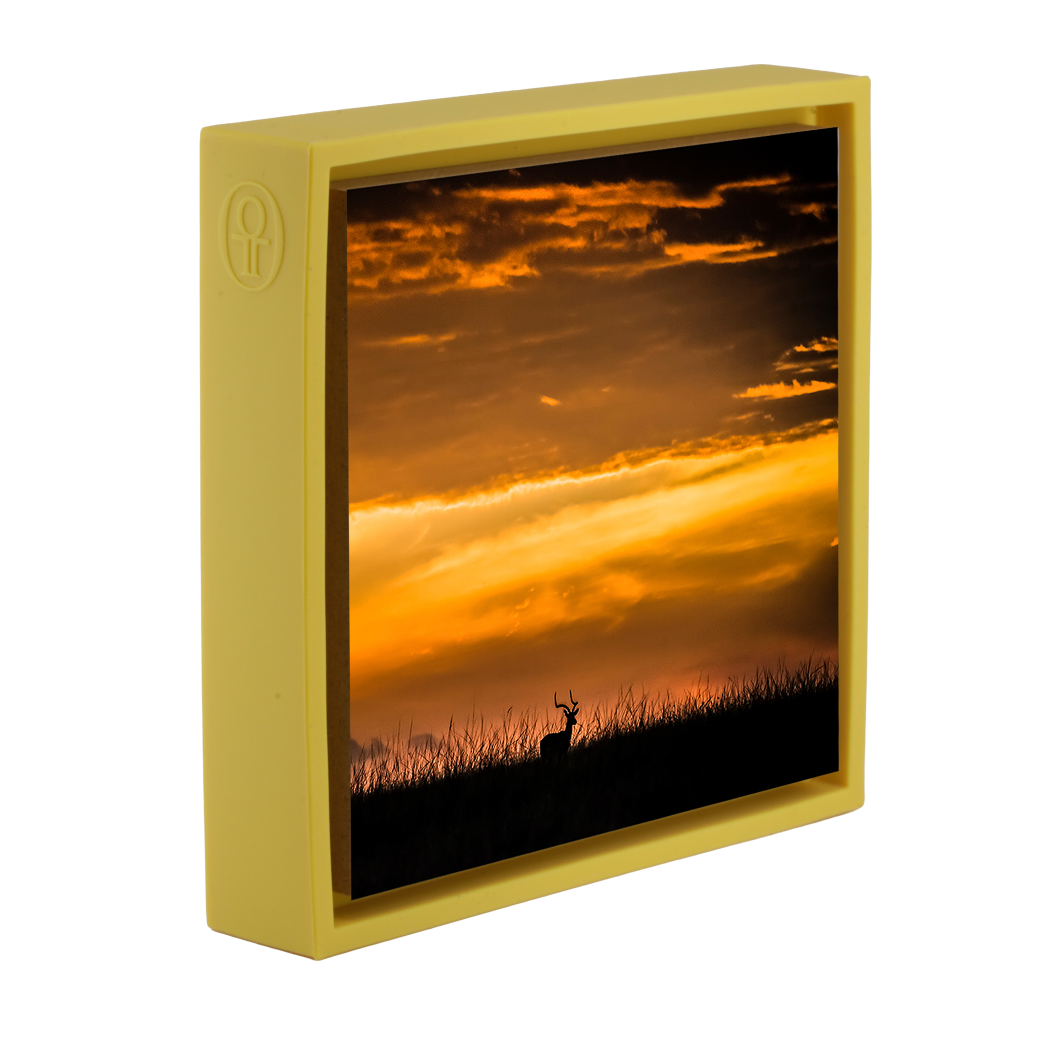 Kenya Impala- Yellow Wrapp