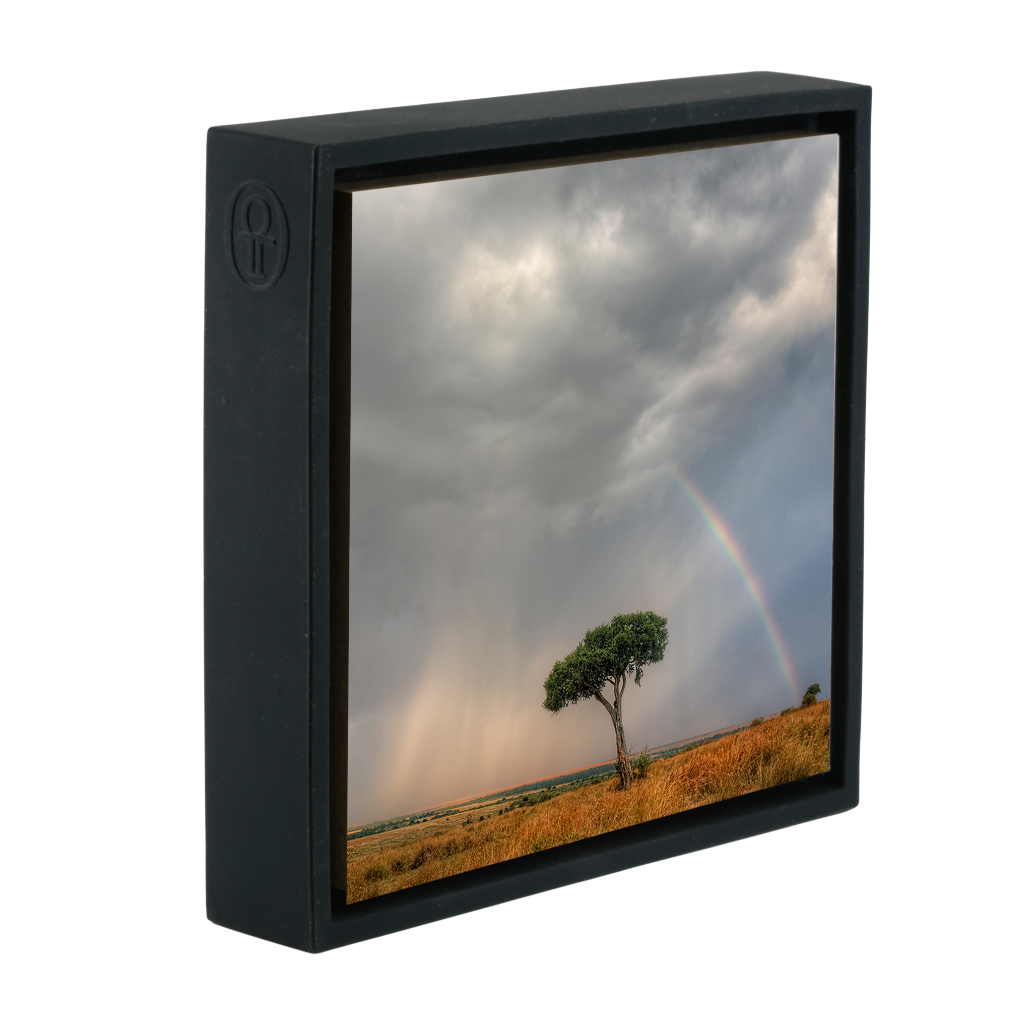 Masai Mara- Black Wrapp