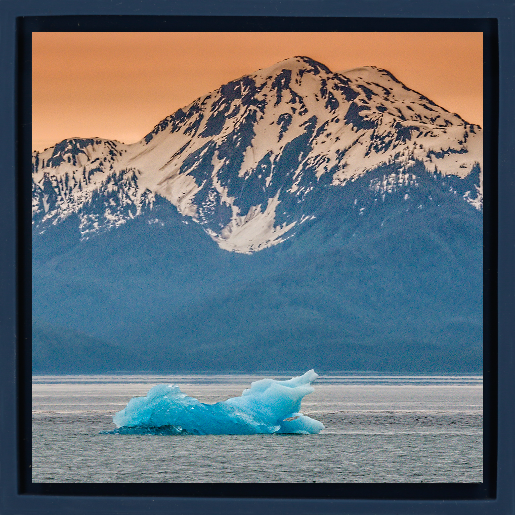 Iceberg d'Alaska - Emballage bleu foncé
