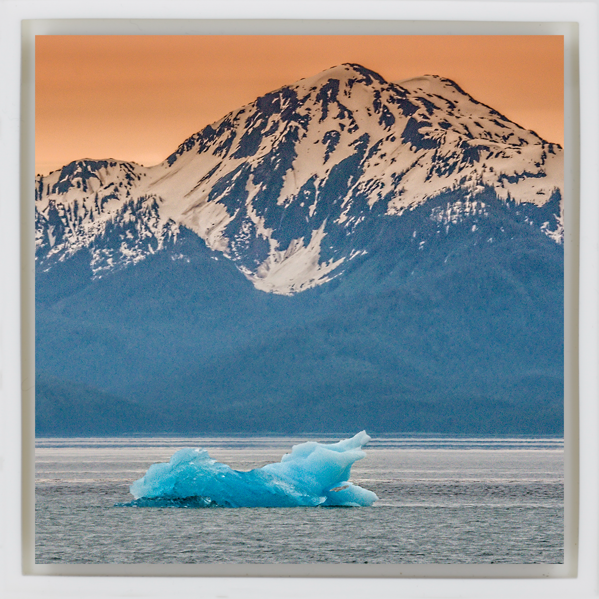 Alaska Iceberg - Witte Wrapp
