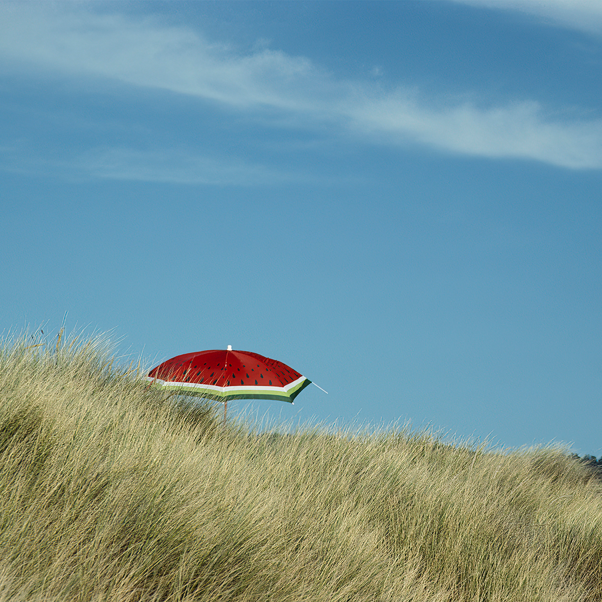 Beach Umbrella - Collection: USA