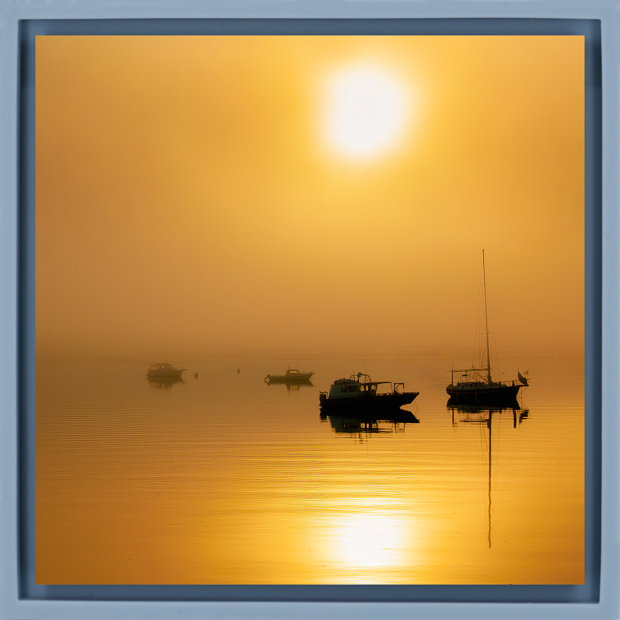 Alaska Harbor - Emballage bleu clair