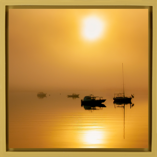 Alaska Harbor - Ochre Wrapp