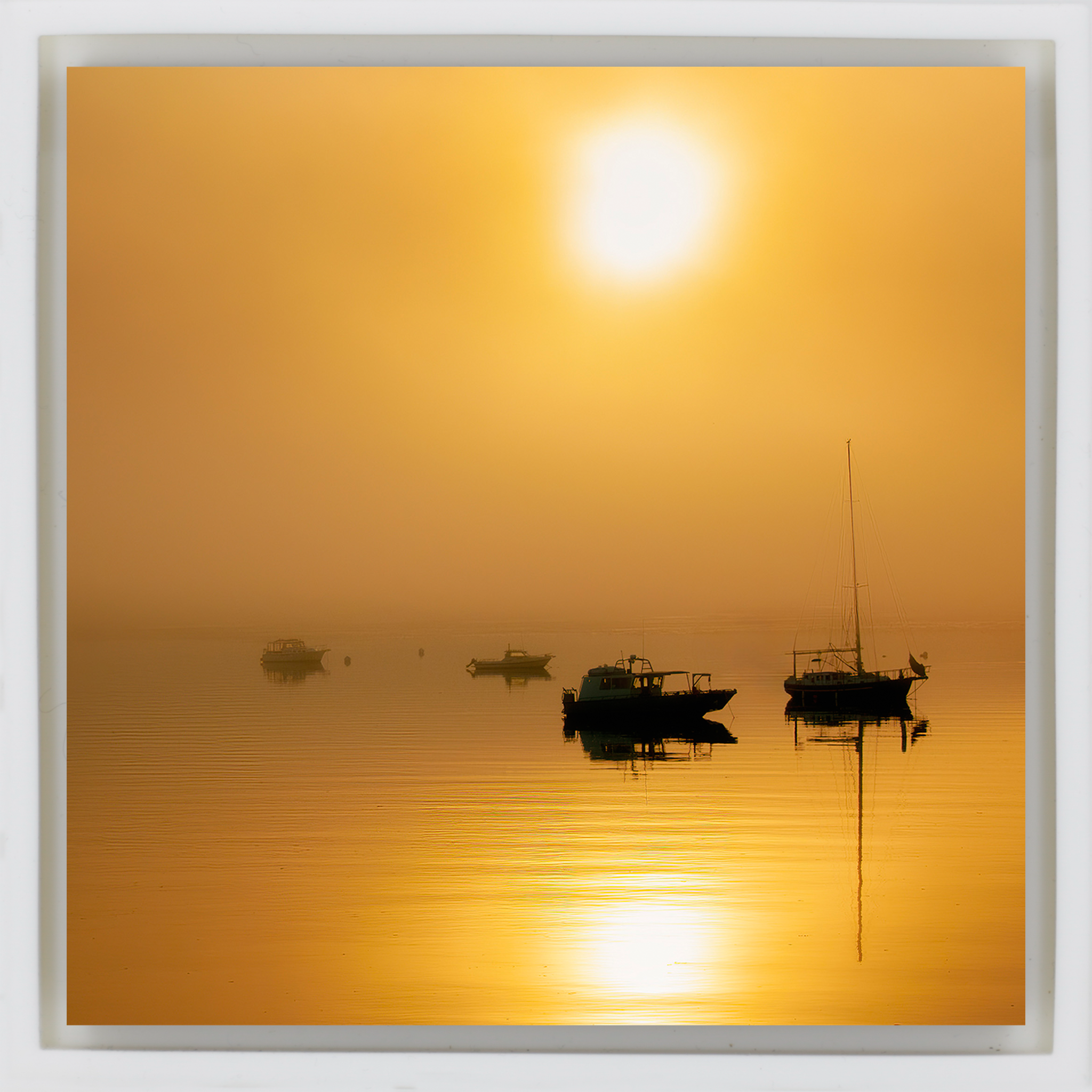 Alaska Harbor - Witte Wrapp