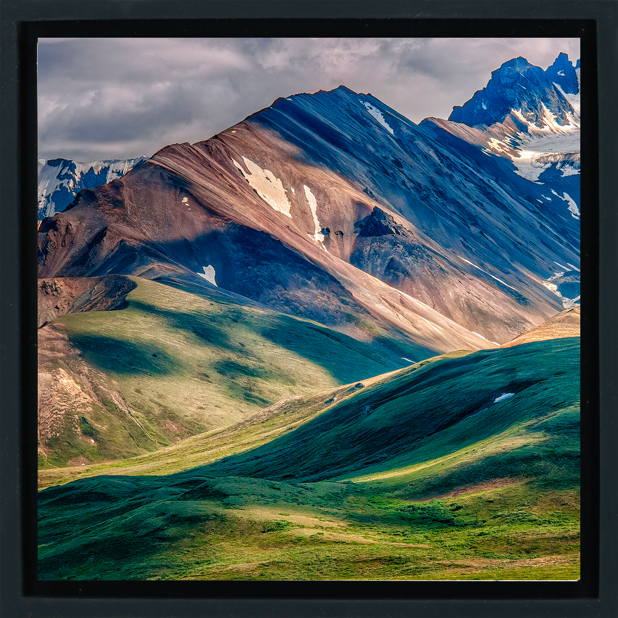 Denali National Park - Black Wrapp