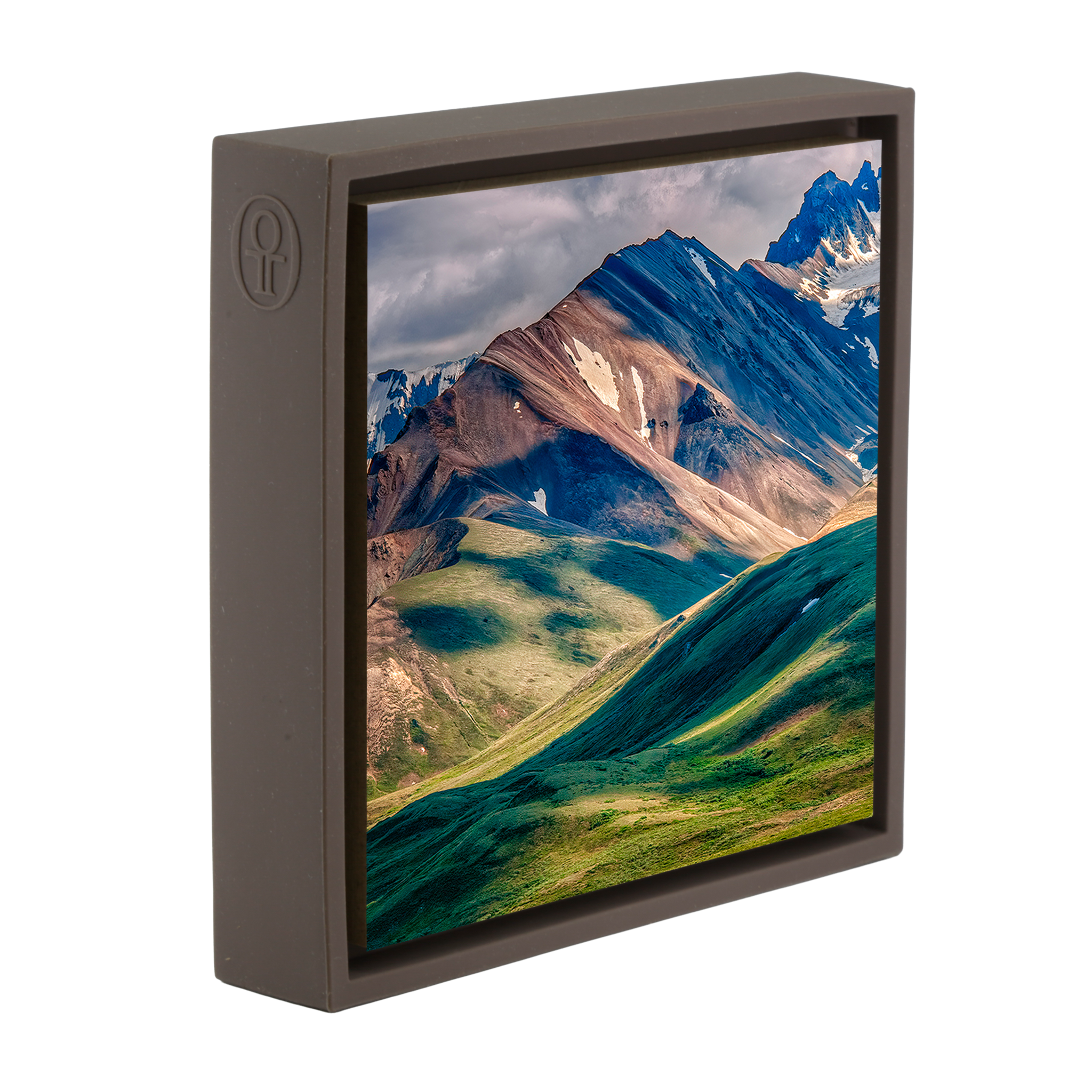 Denali National Park - Brown Wrapp