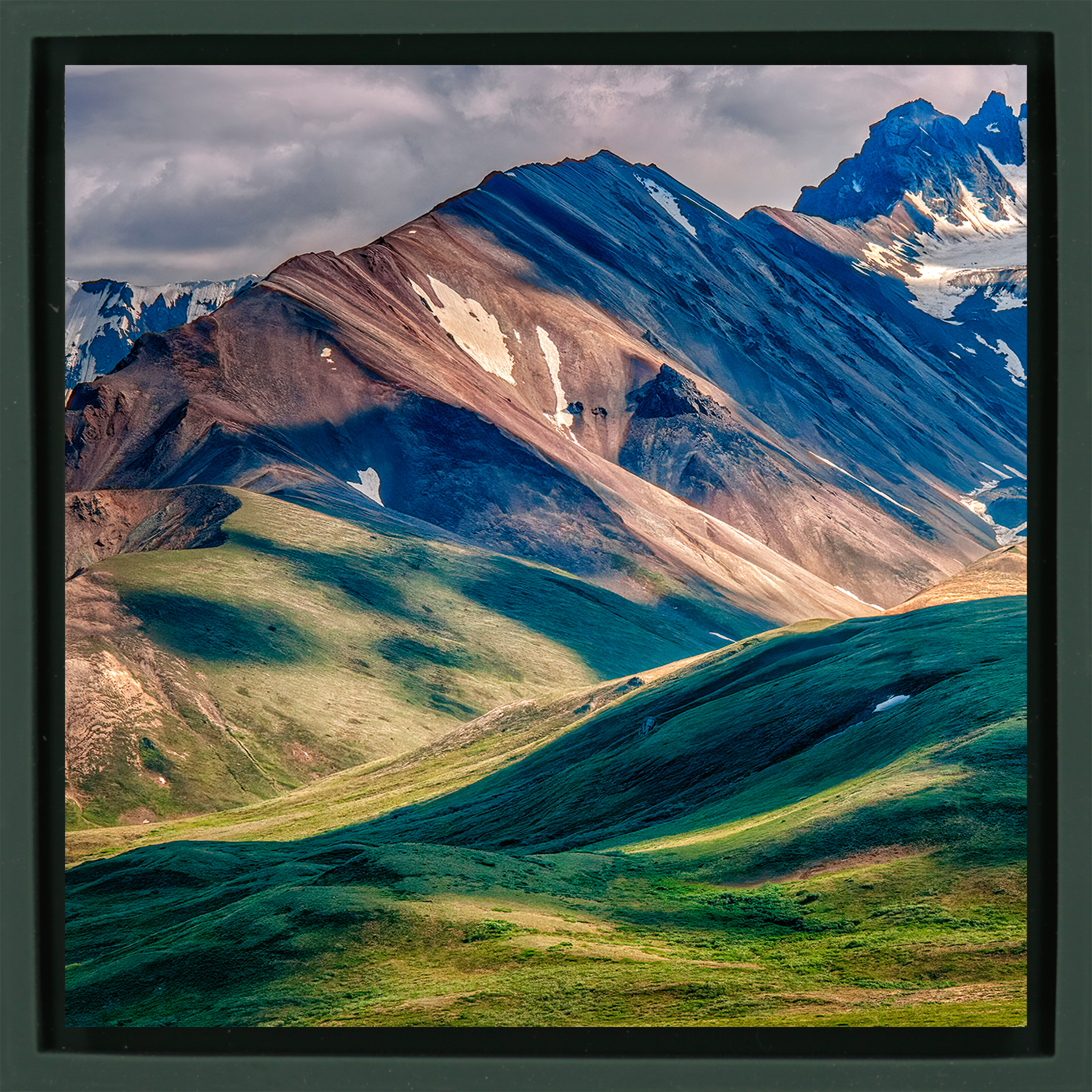 Denali-Nationalpark - Dunkelgrüne Verpackung