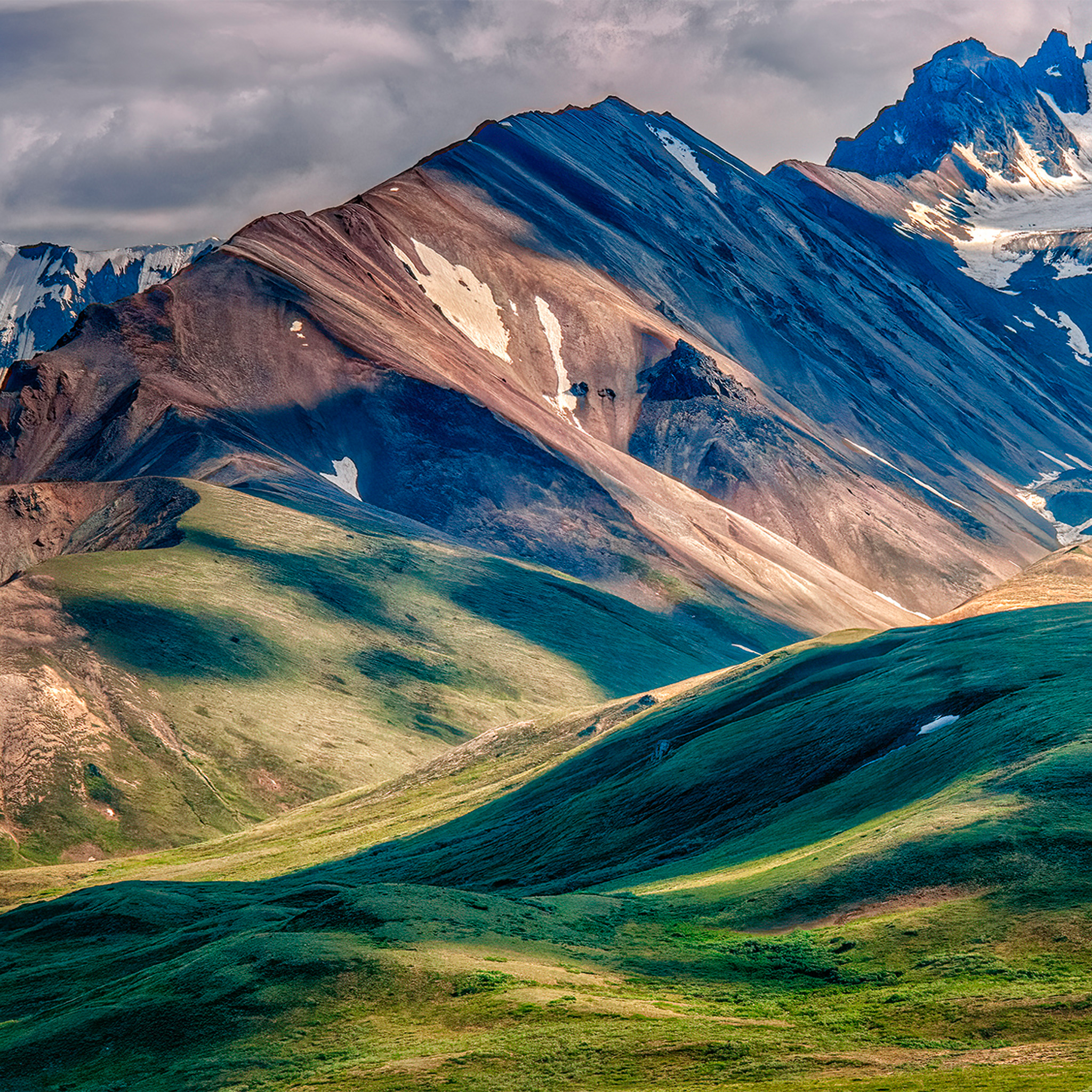 Parc national de Denali - Collection : États-Unis