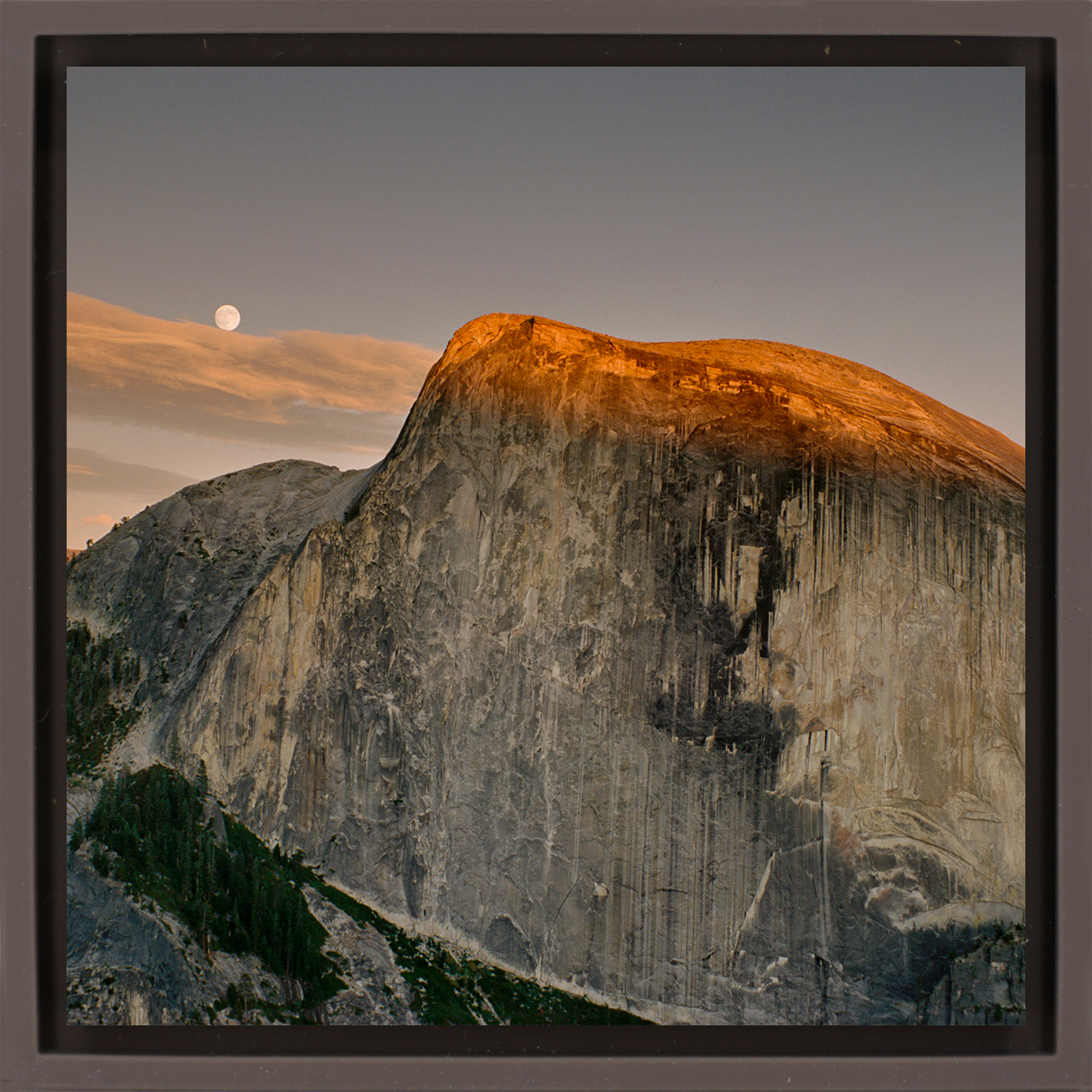 Half Dome - Bruine Wrapp