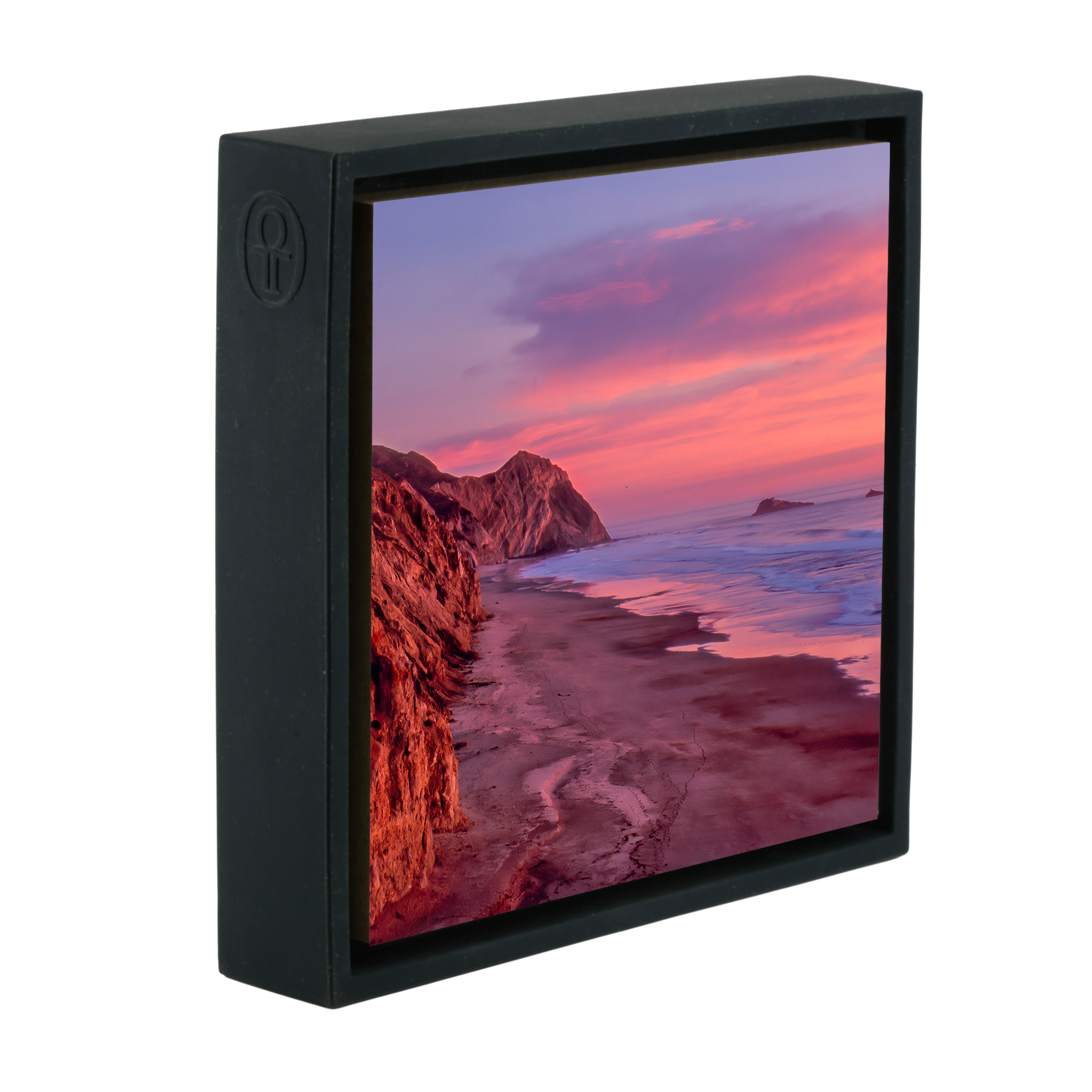 Wild Cat Point Reyes - Black Wrapp