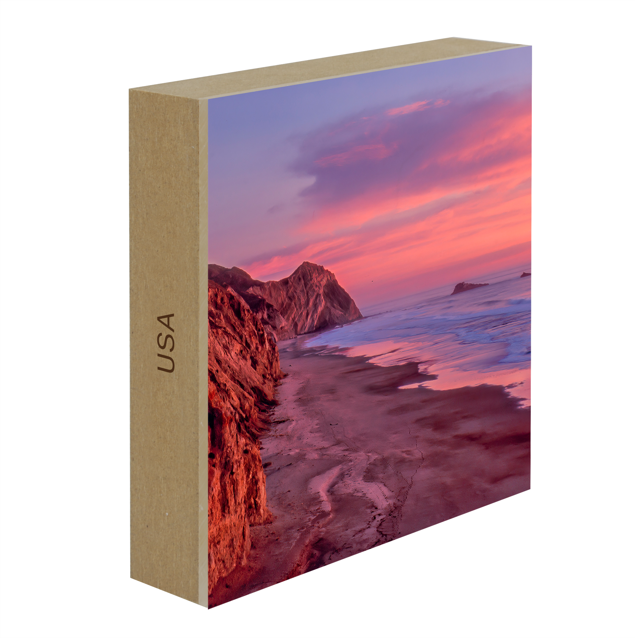 Chat sauvage de Point Reyes - Collection : États-Unis