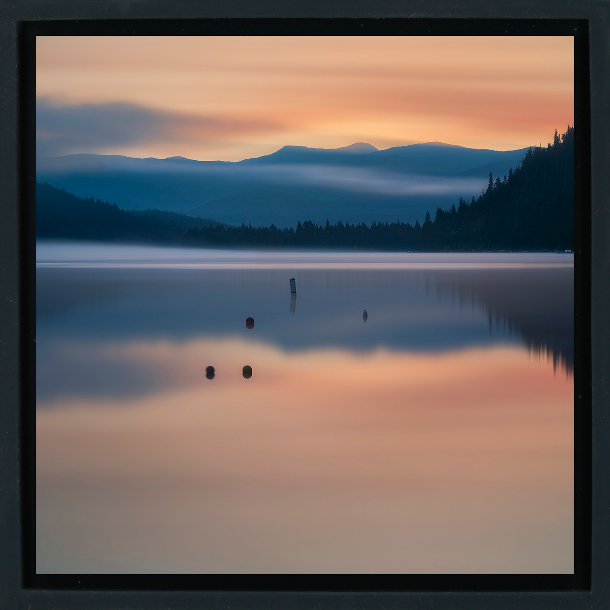 Lake Donner Piles - Zwarte Wrapp