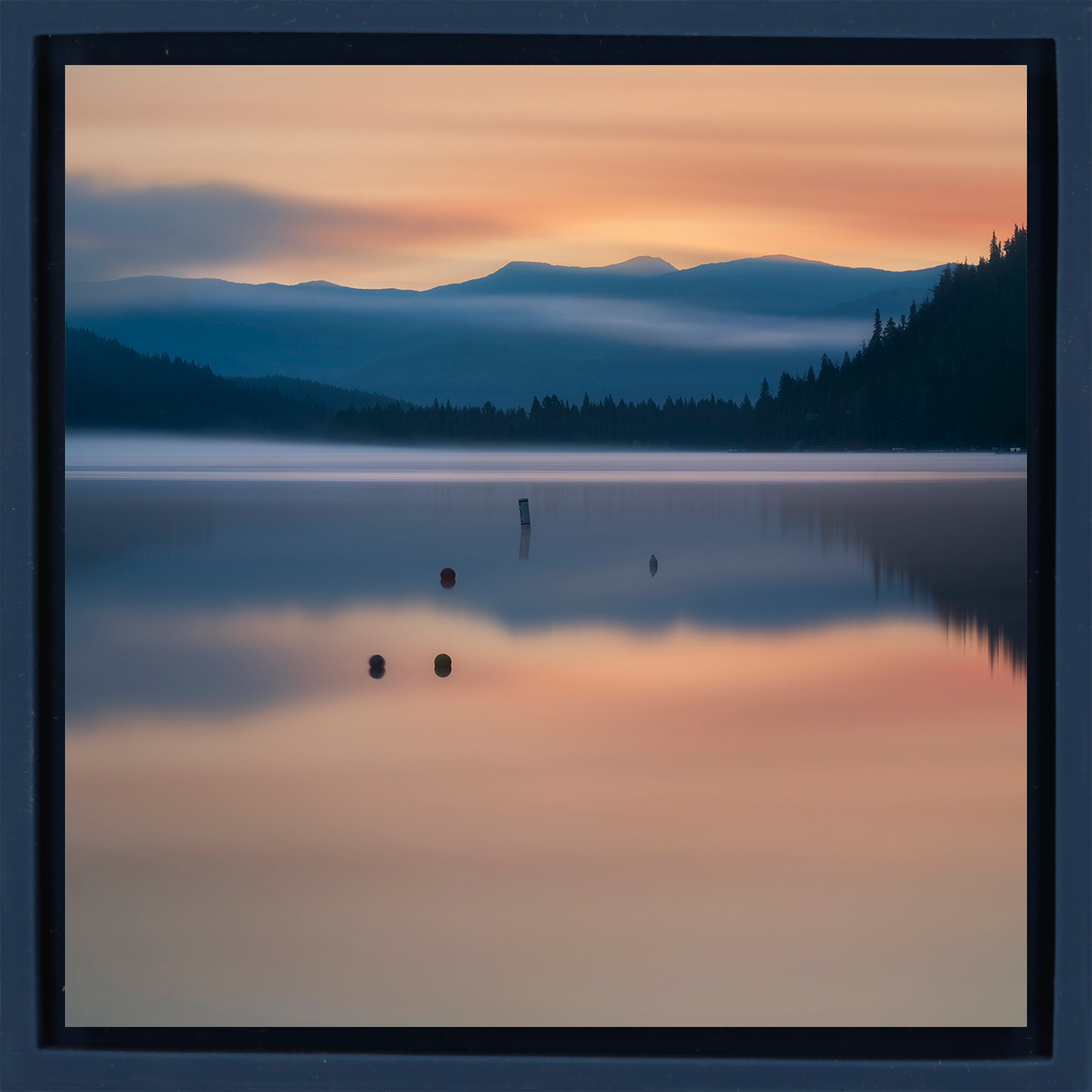Lake Donner Piles - Donkerblauwe Wrapp