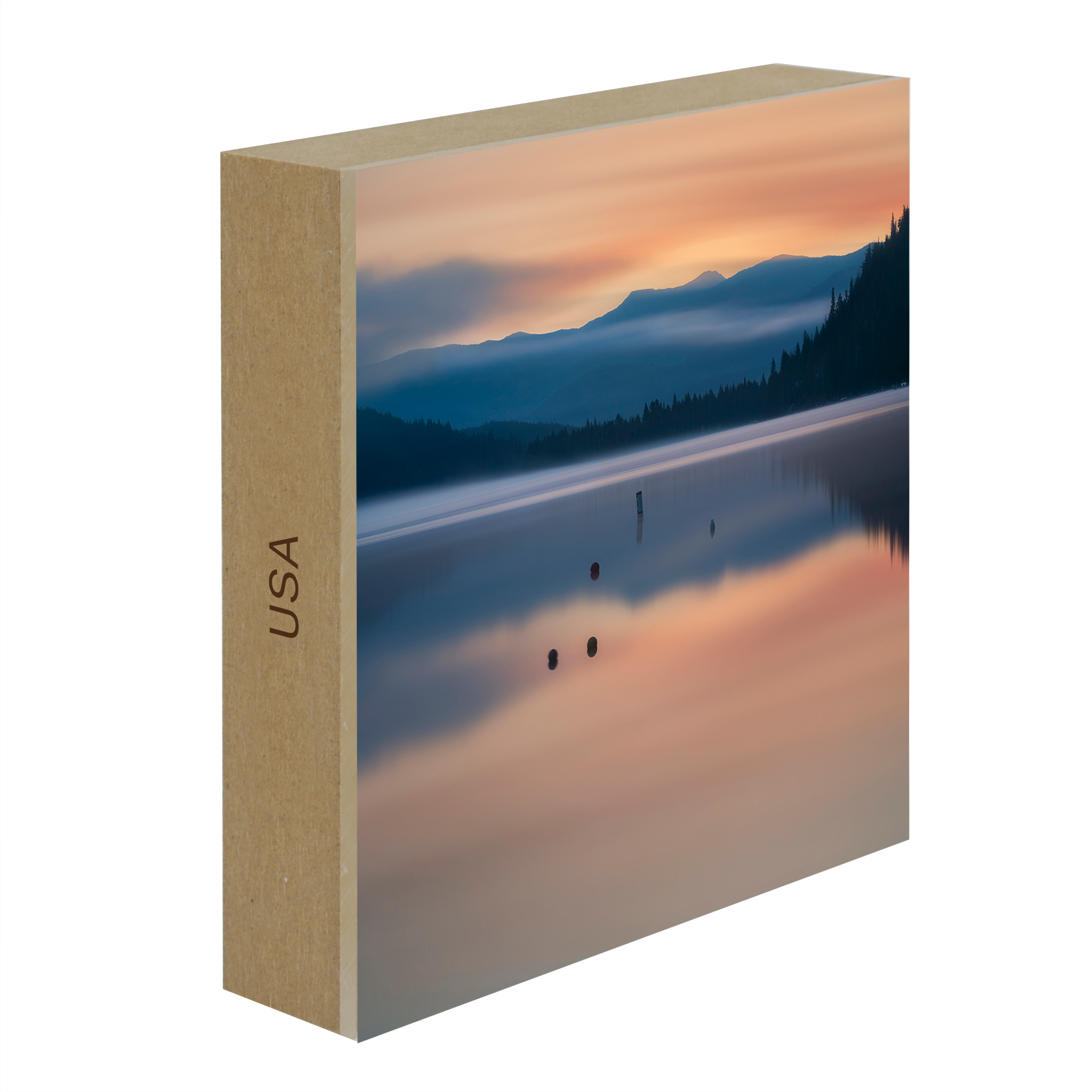 Collection de tas du lac Donner : États-Unis