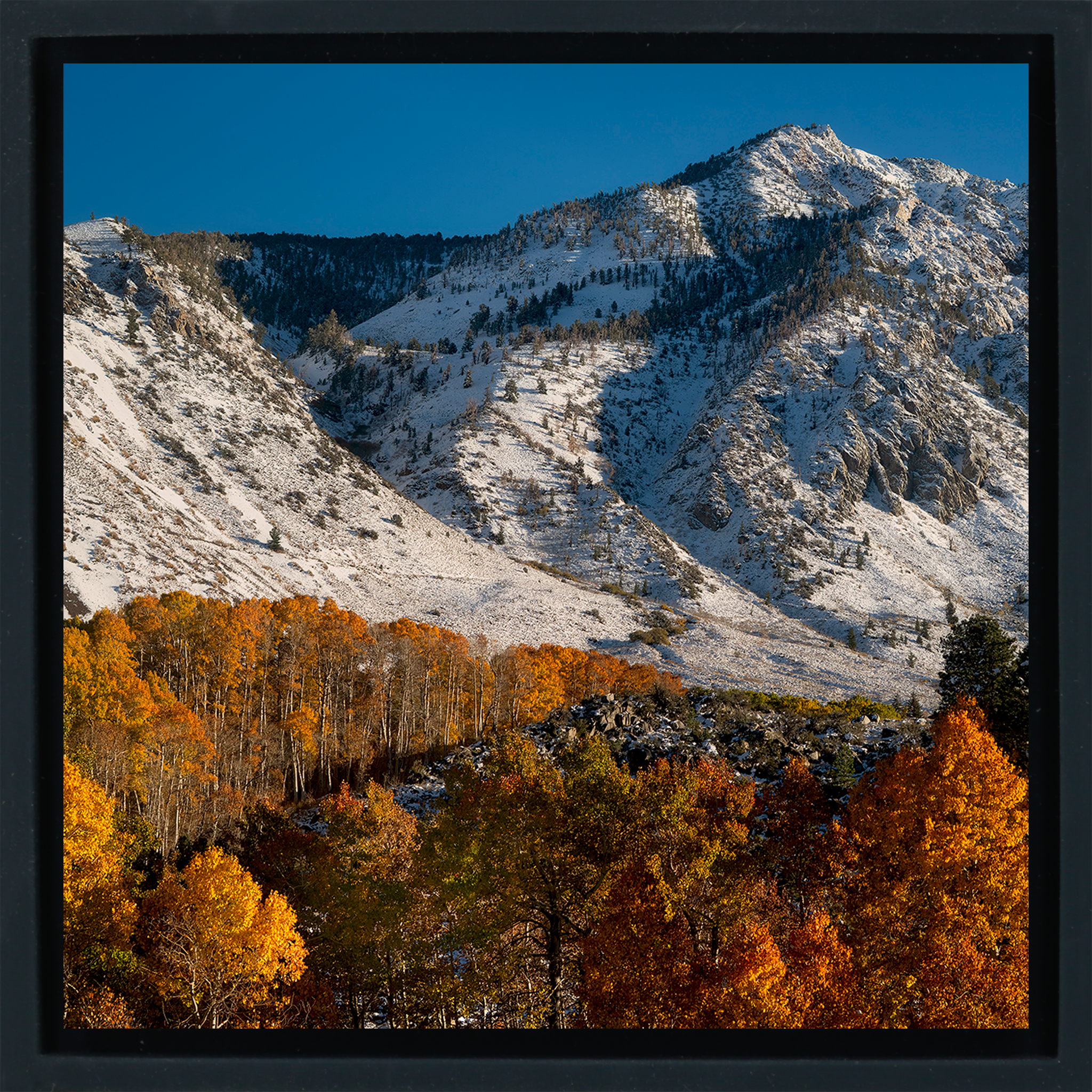 Early Fall Snow - Zwarte Wrapp