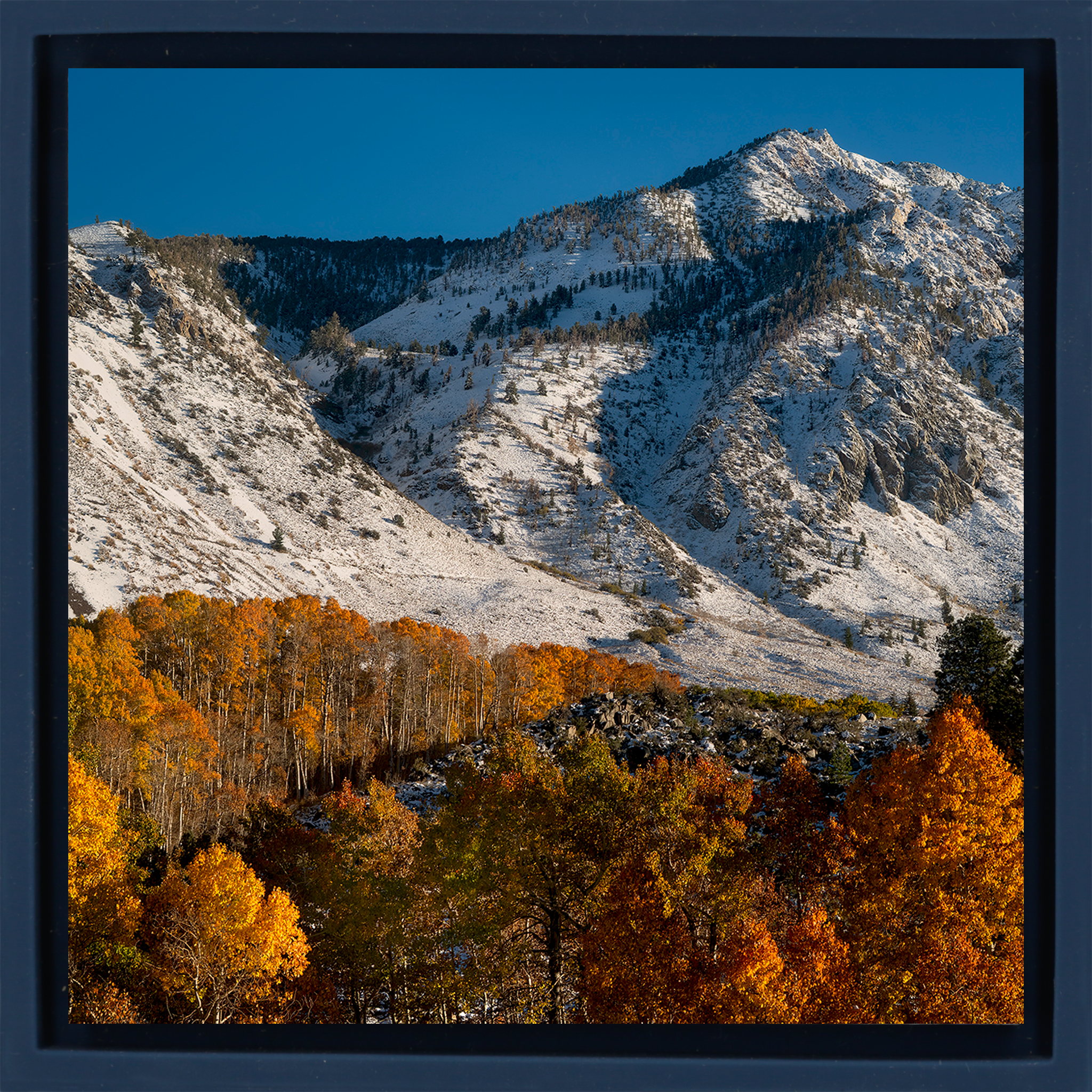 Early Fall Snow - Donkerblauwe Wrapp