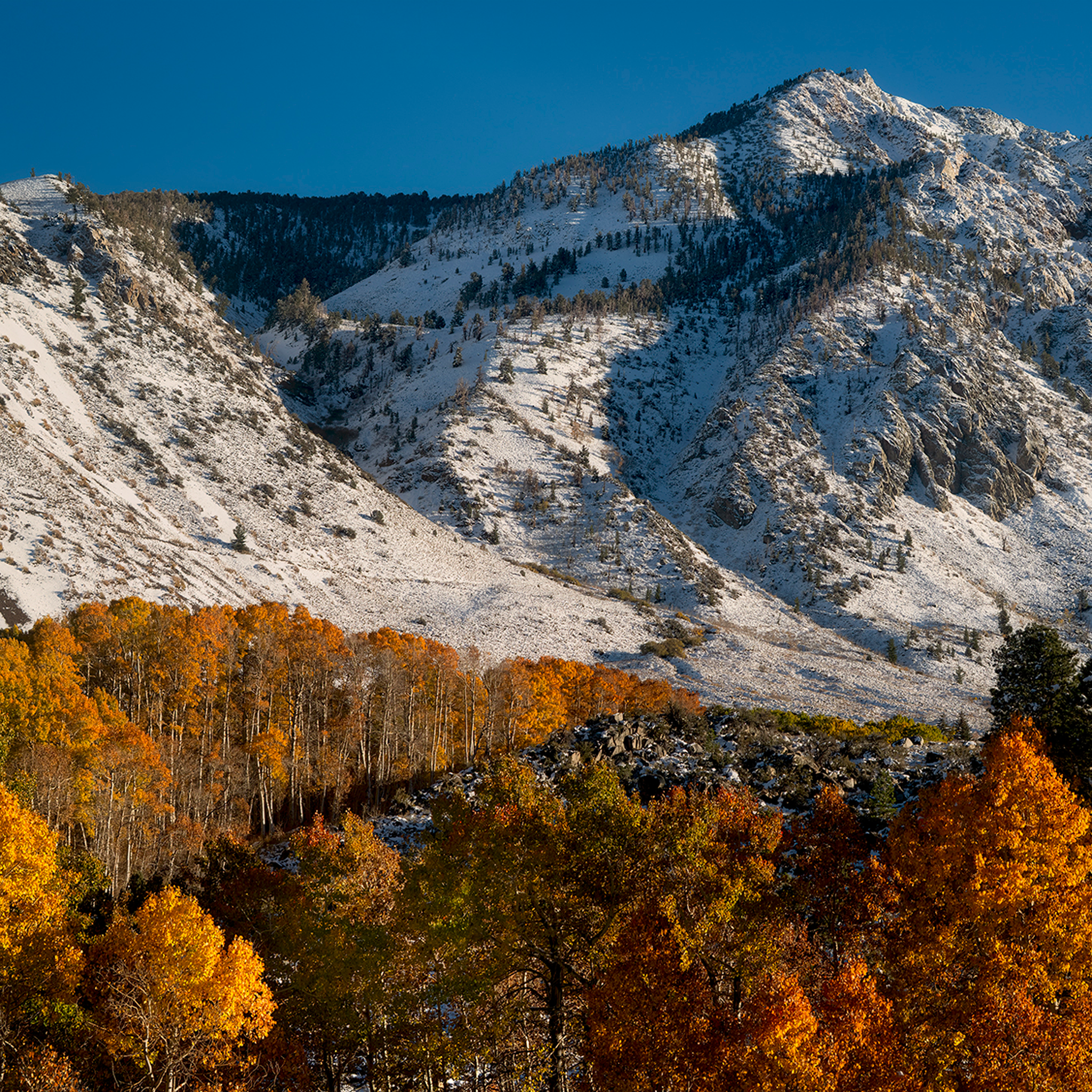 Early Fall Snow- Collection: USA