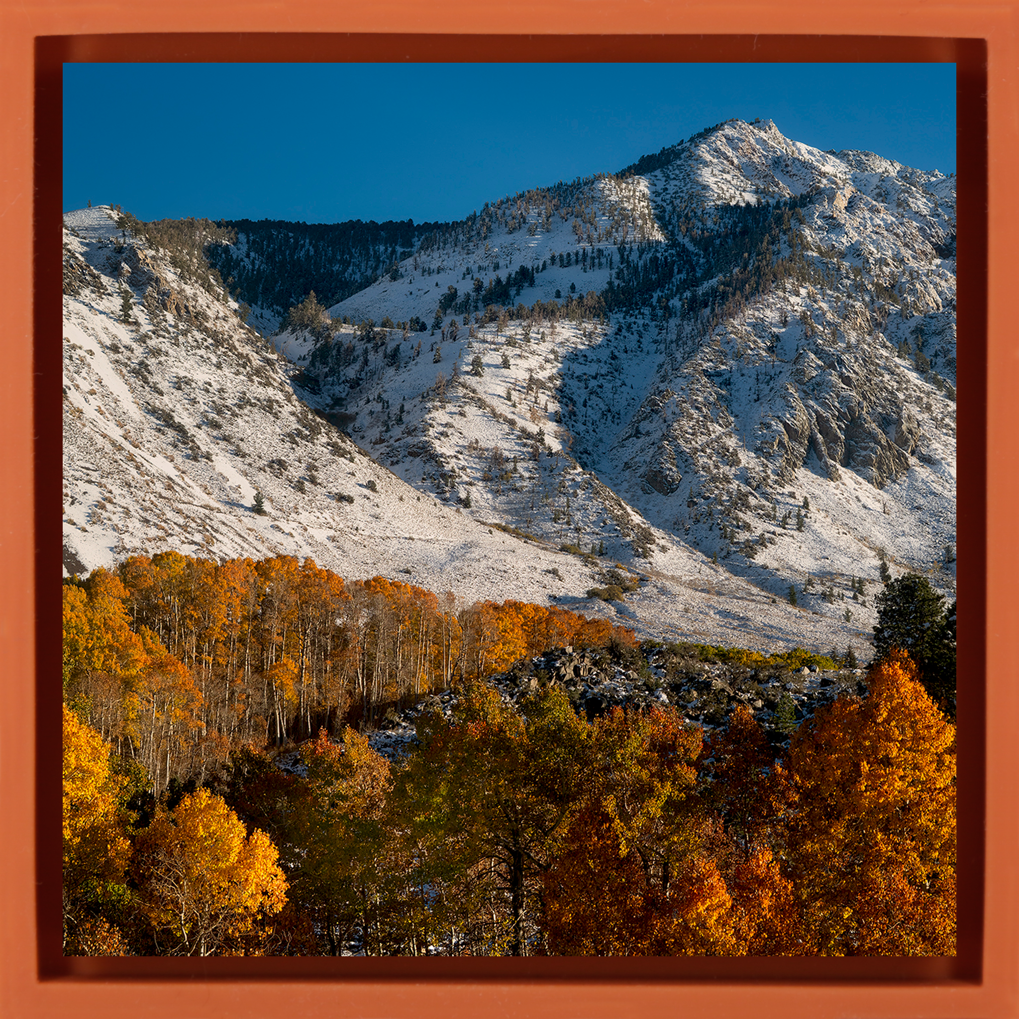 Early Fall Snow - Oranje Wrapp