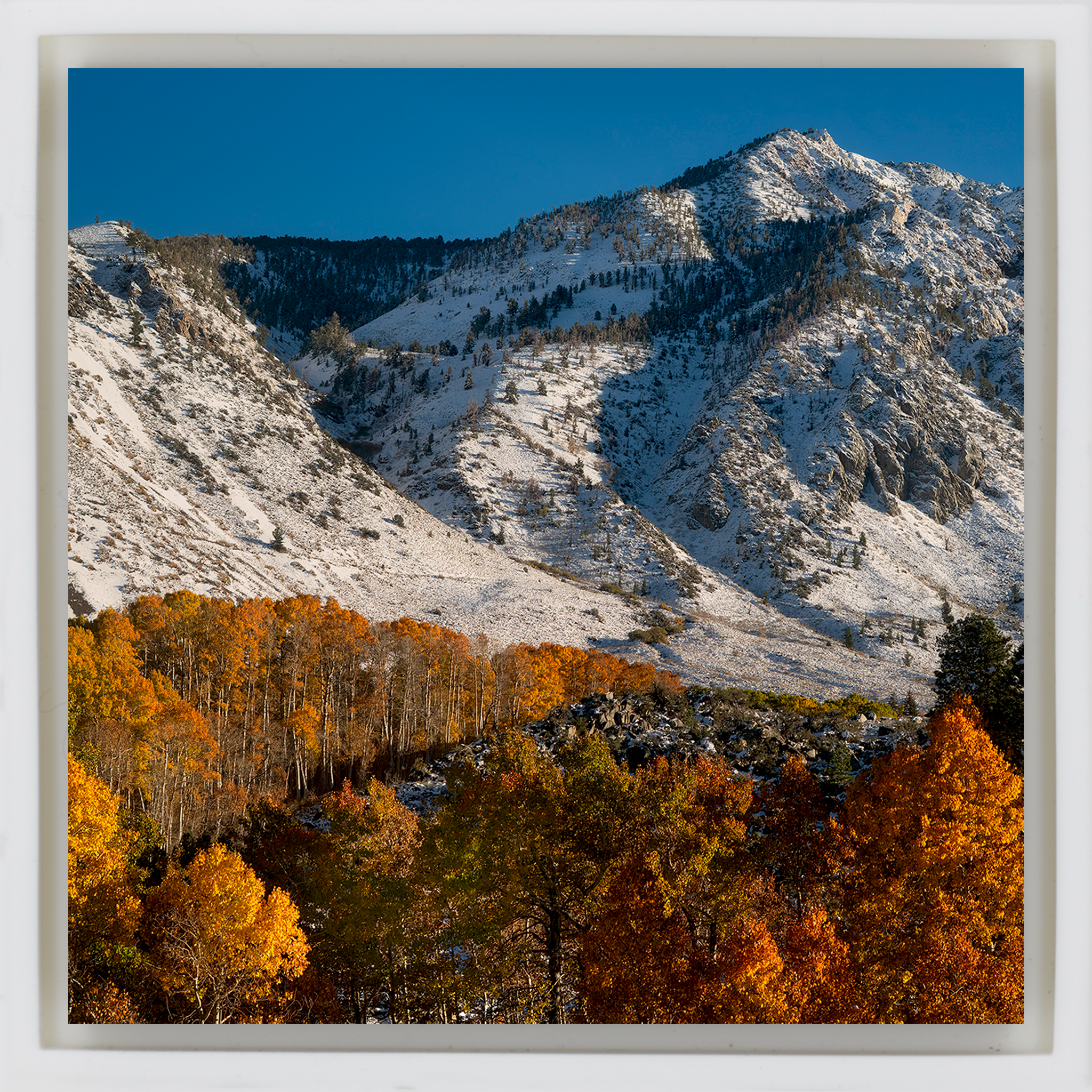 Early Fall Snow - Witte Wrapp