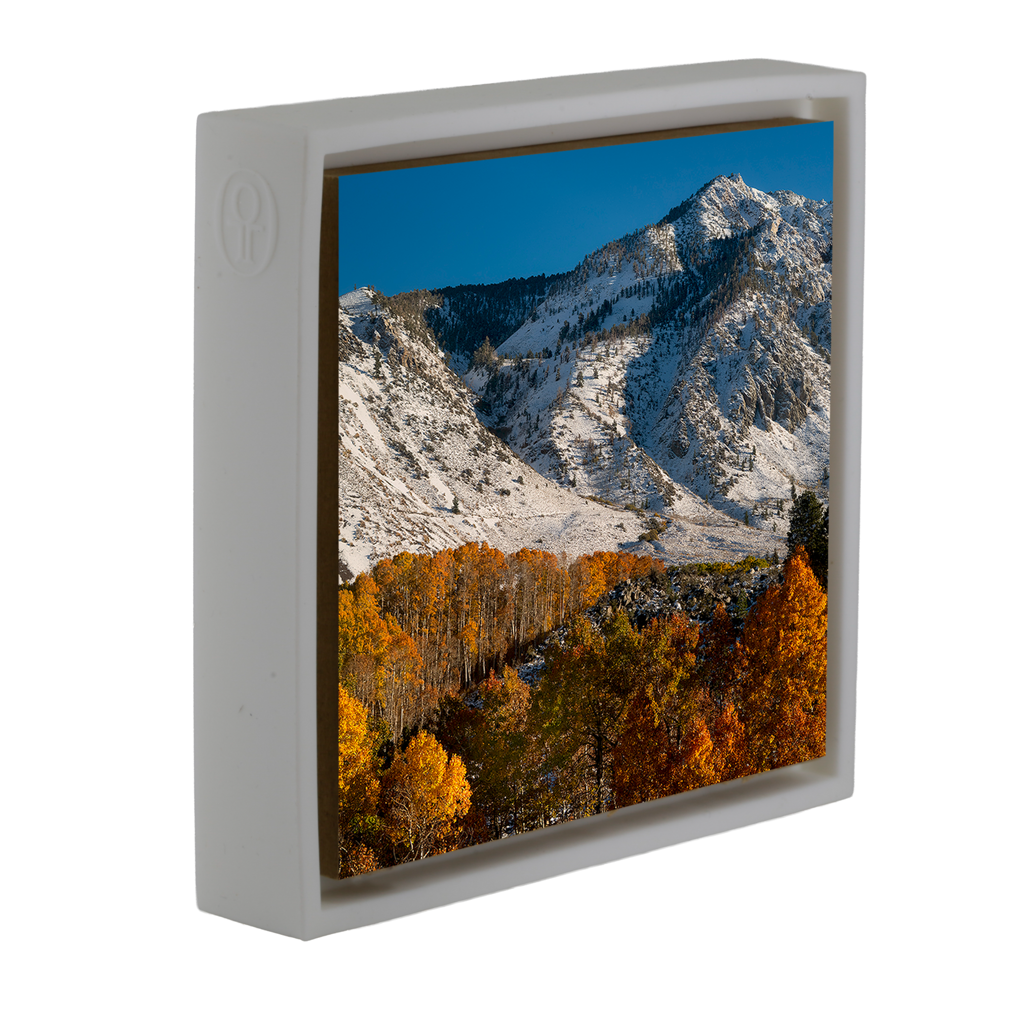 Early Fall Snow - Witte Wrapp