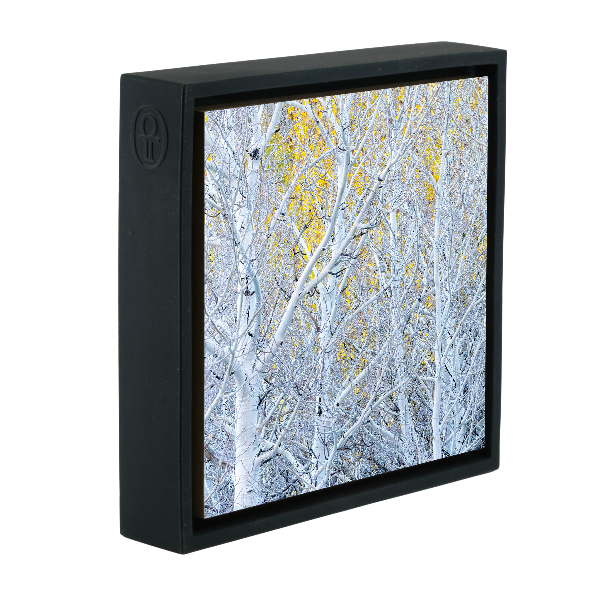 Ghost Aspens- Black Wrapp