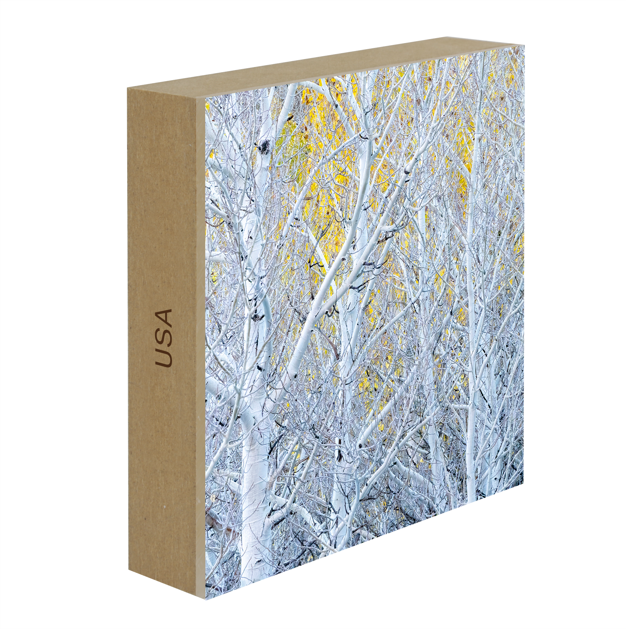 Ghost Aspens- Collection: USA