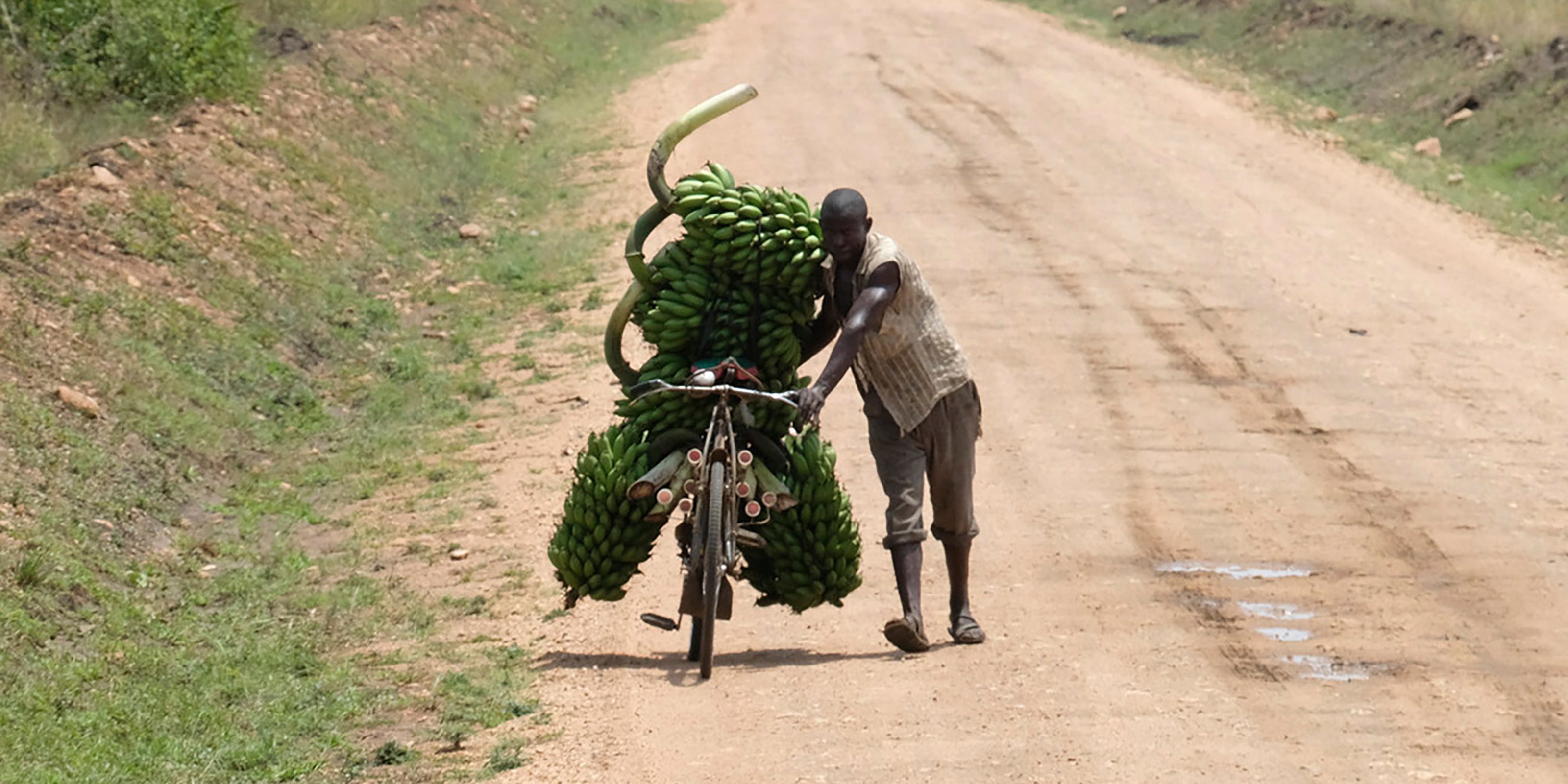 Uganda