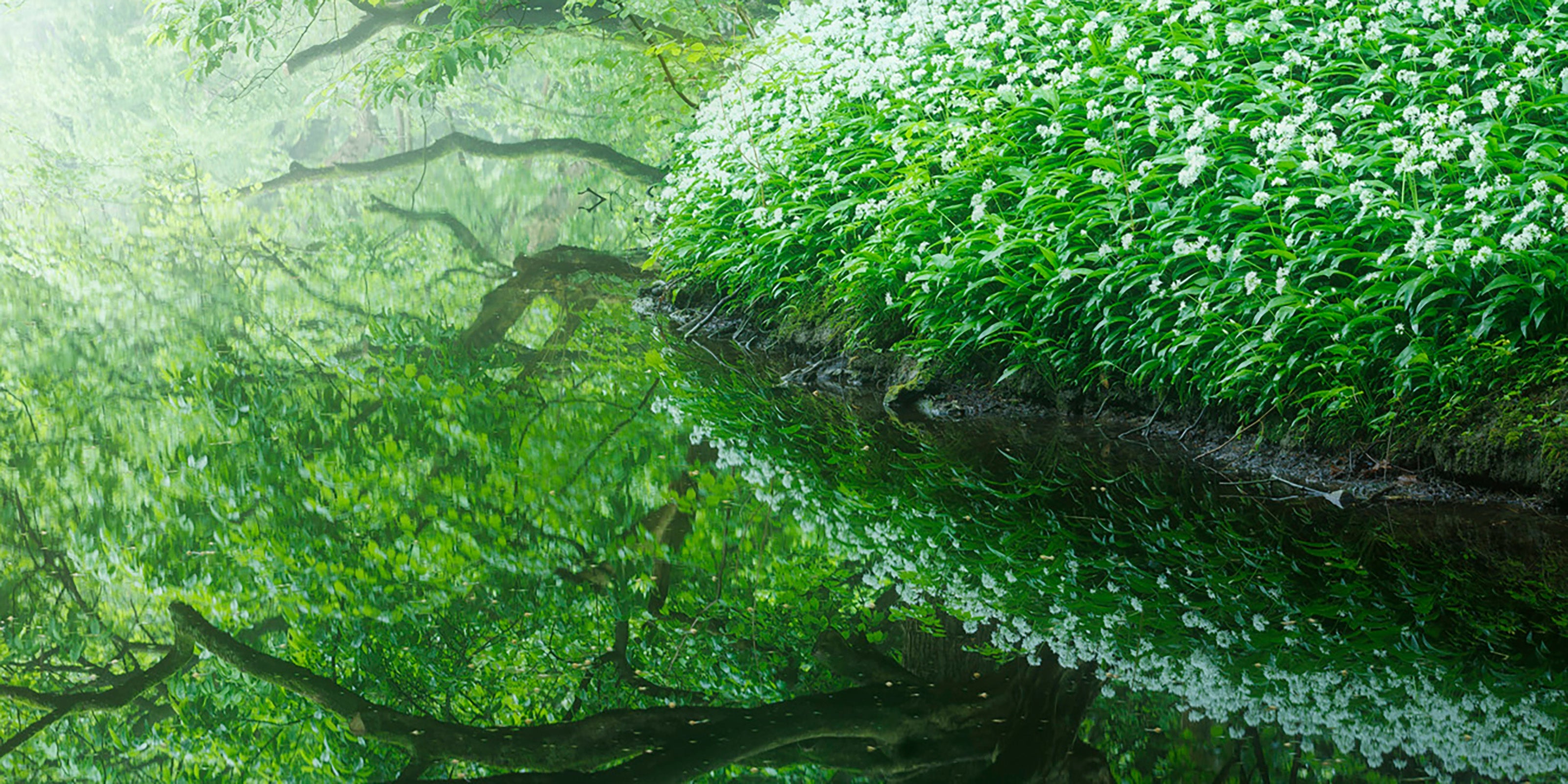 World of Green