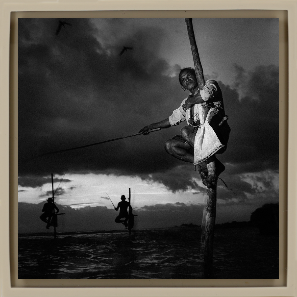 Stilt Fishermen