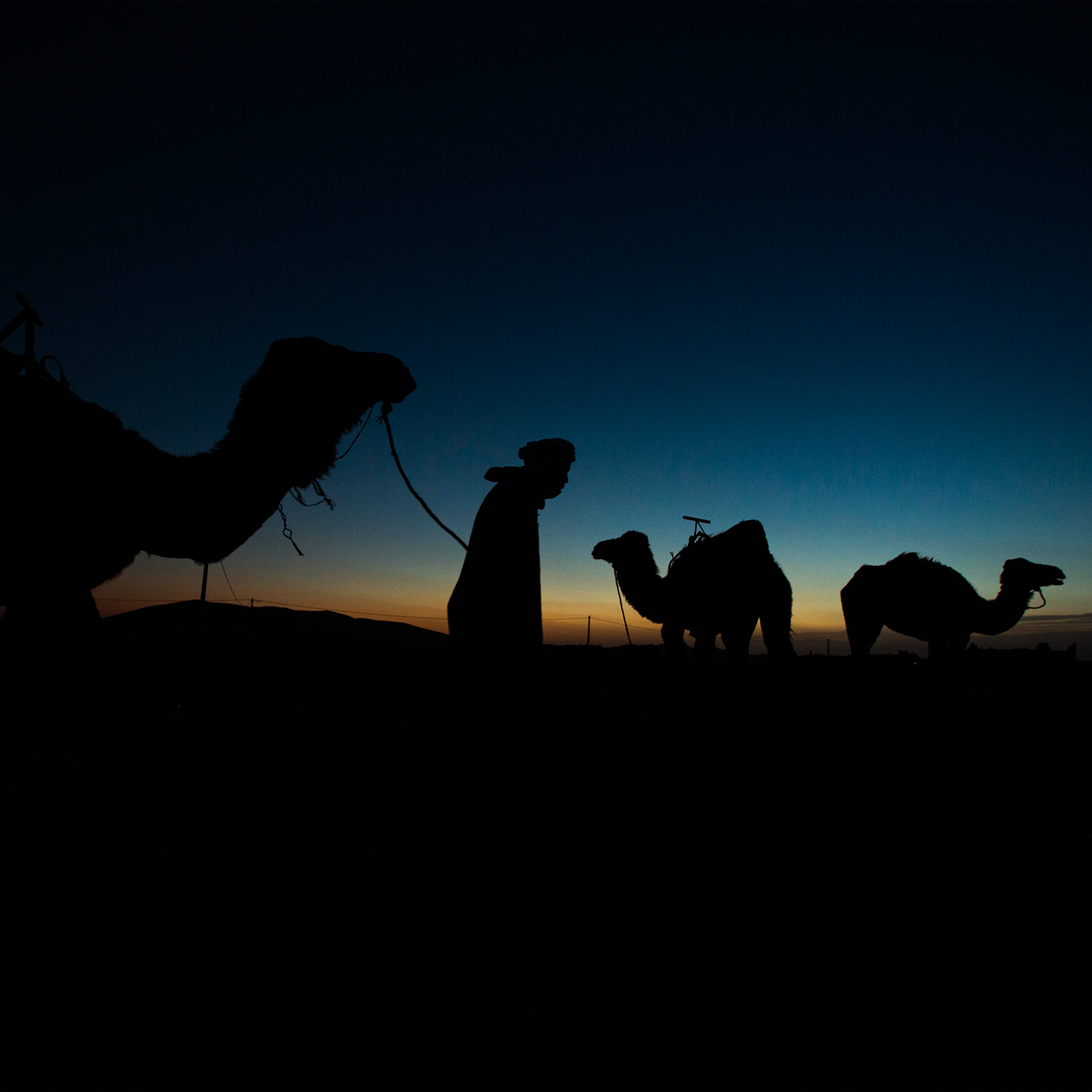 Moroccan Sunset- Collection: Morocco
