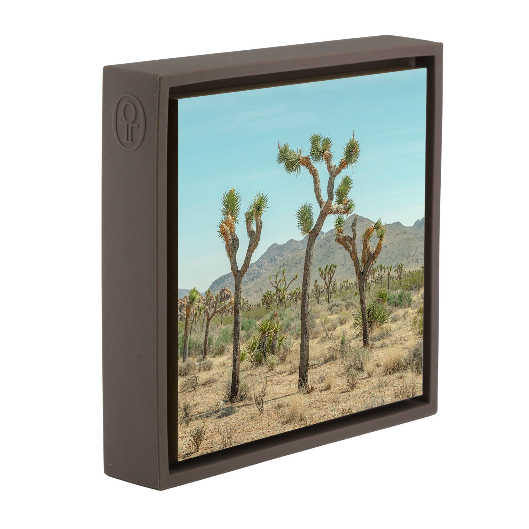 Joshua Tree - Bruine Wrapp