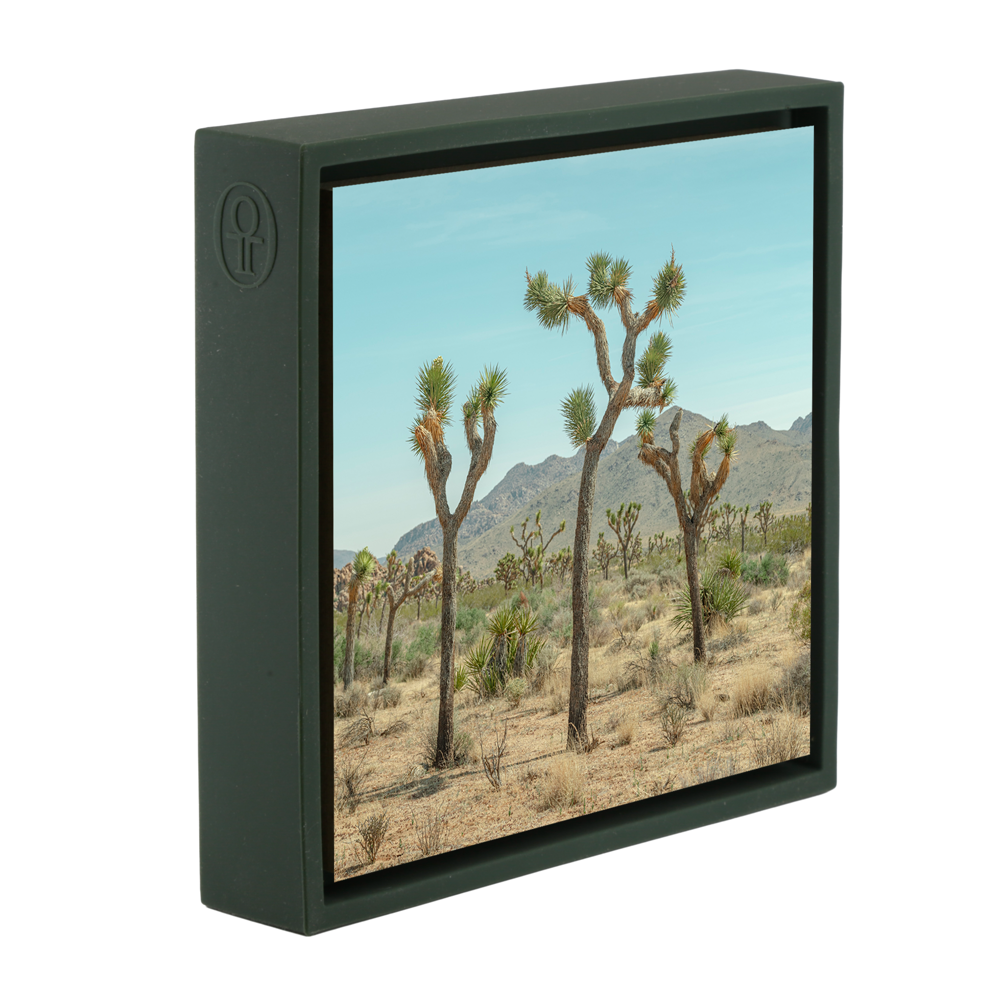 Joshua Tree - Donkergroene Wrapp