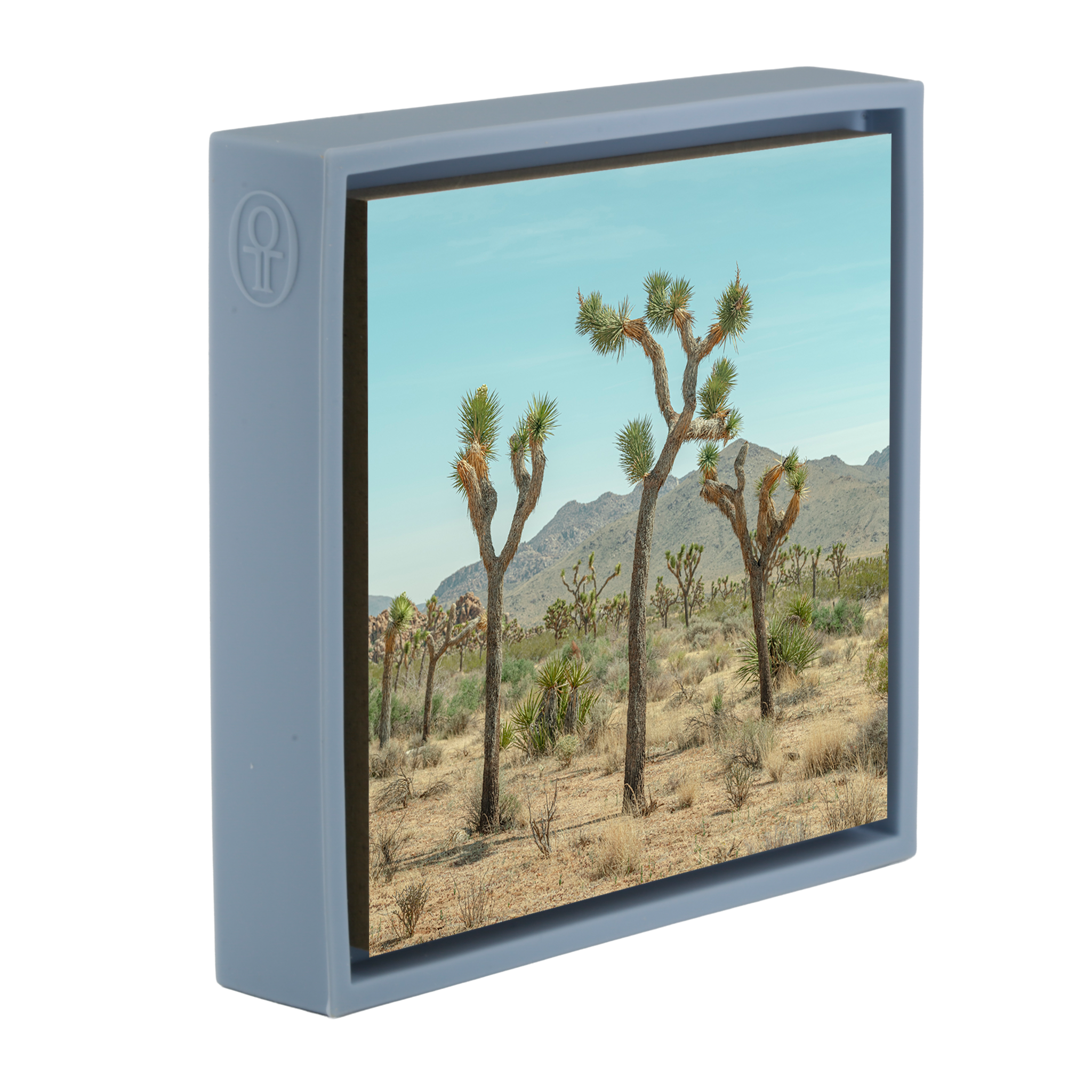 Joshua Tree - Lichtblauwe Wrapp