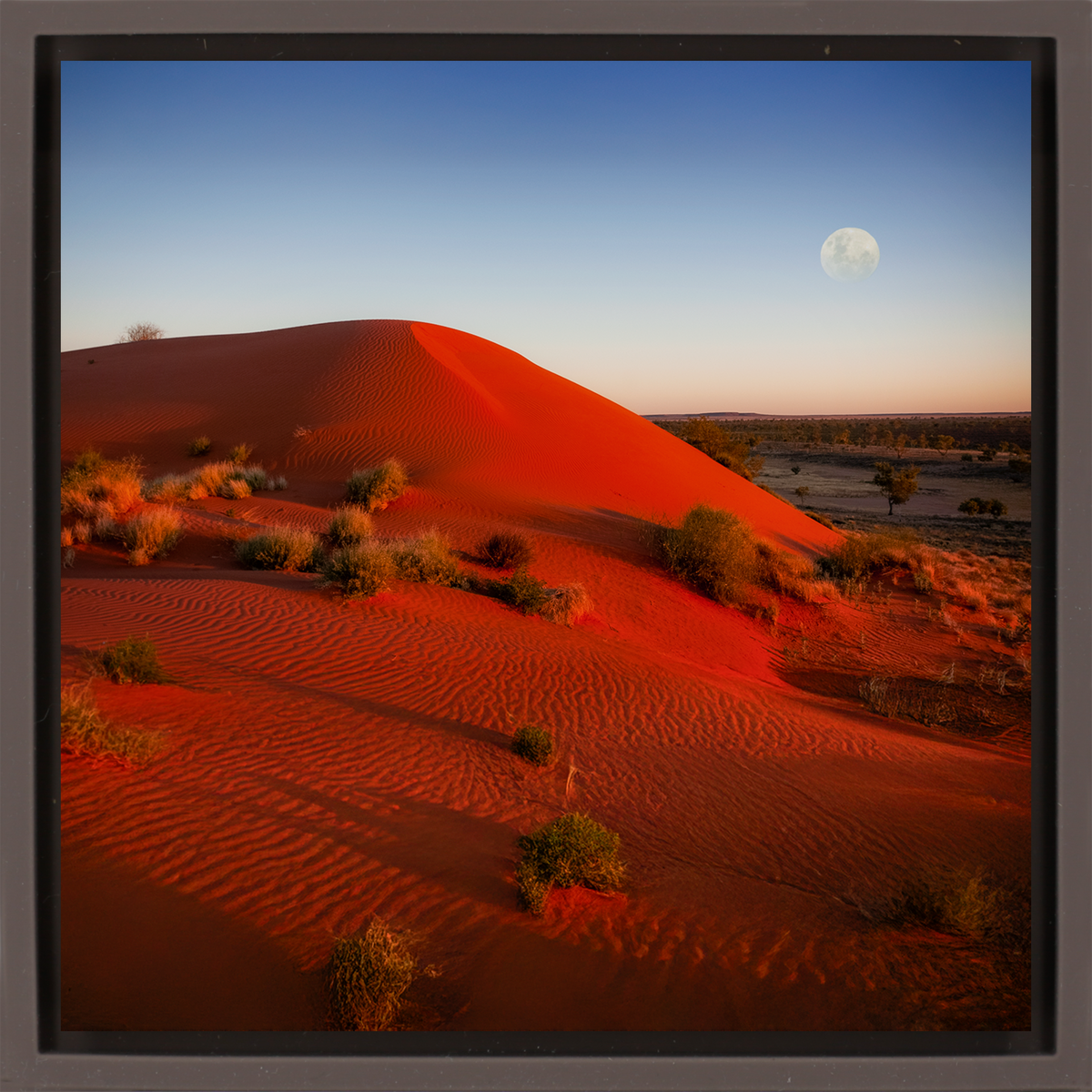 Andado Simpson Desert